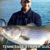 Tennessee Striper Guides