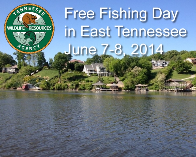 Free Fishing Week in Tennessee