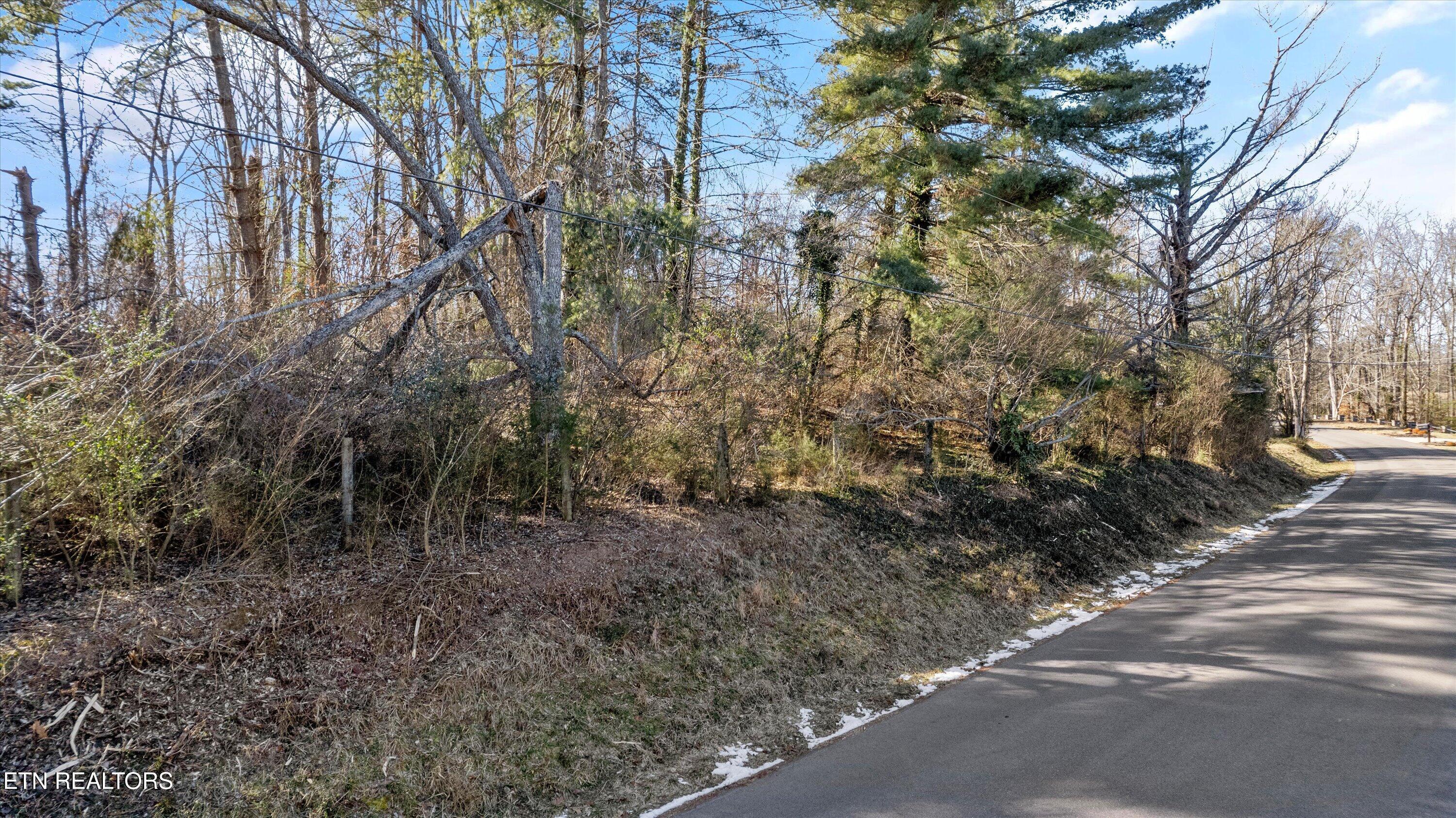 Fort Loudoun and Tellico Lake Real Estate - Image# 9