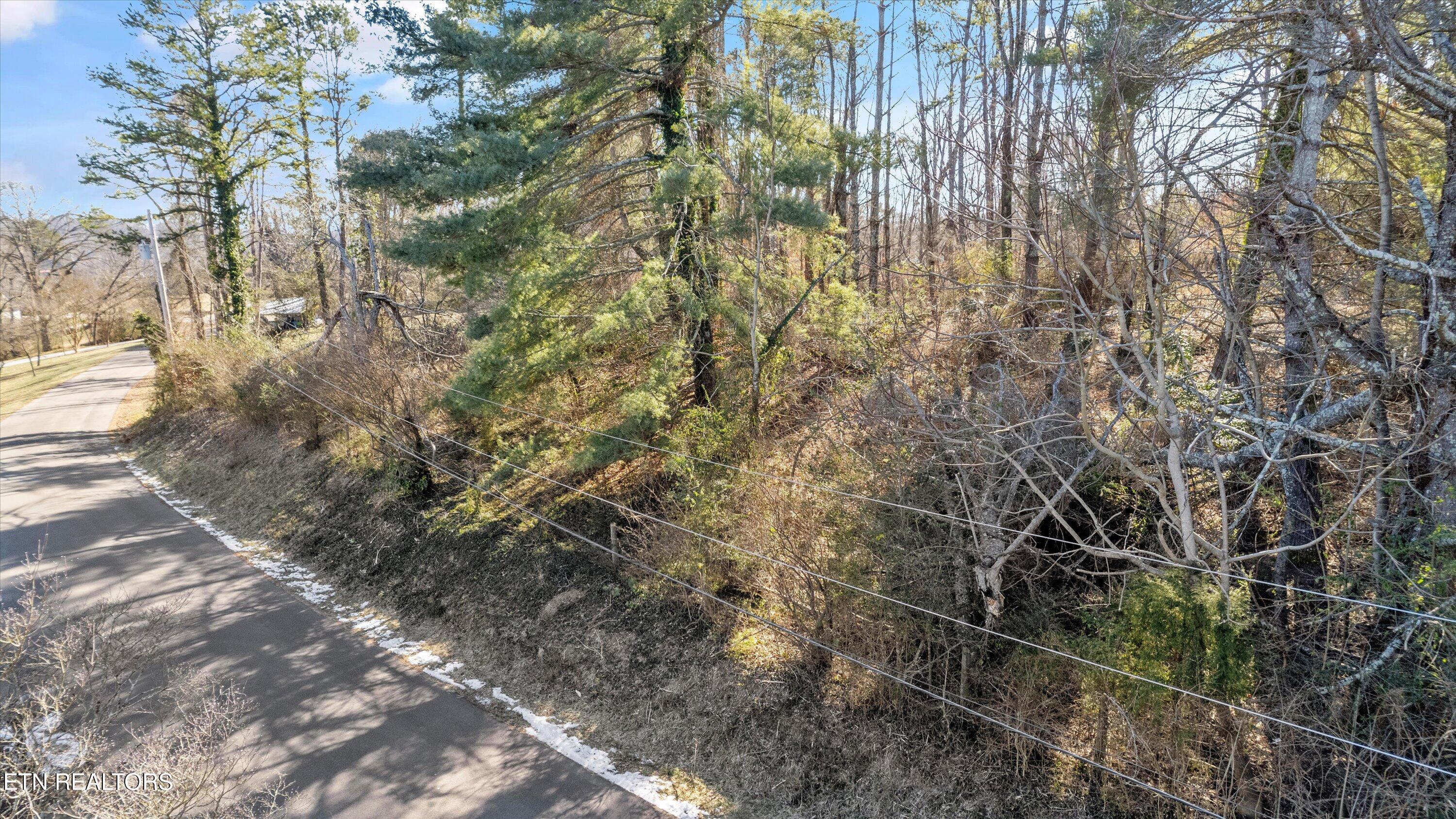 Fort Loudoun and Tellico Lake Real Estate - Image# 10