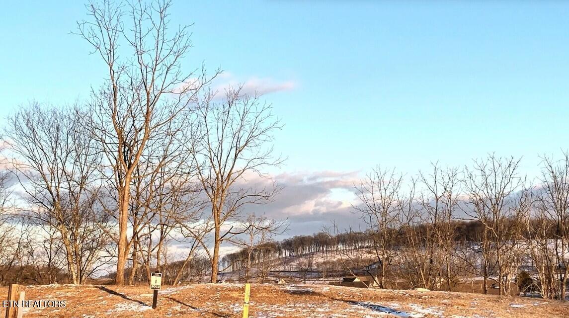 Fort Loudoun and Tellico Lake Real Estate - Image# 12