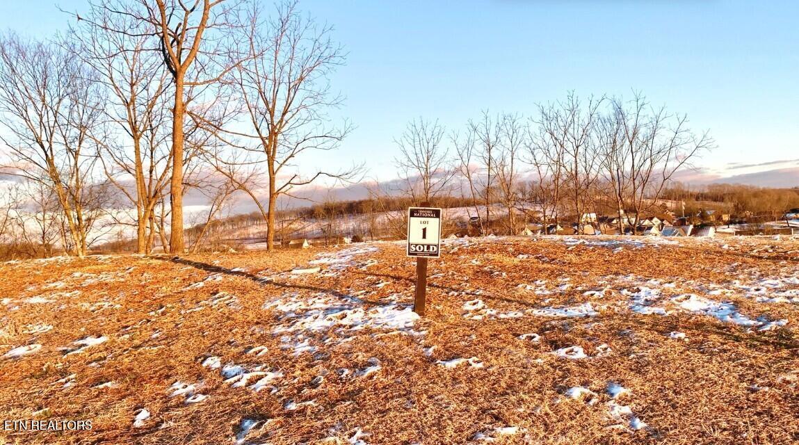 Fort Loudoun and Tellico Lake Real Estate - Image# 11