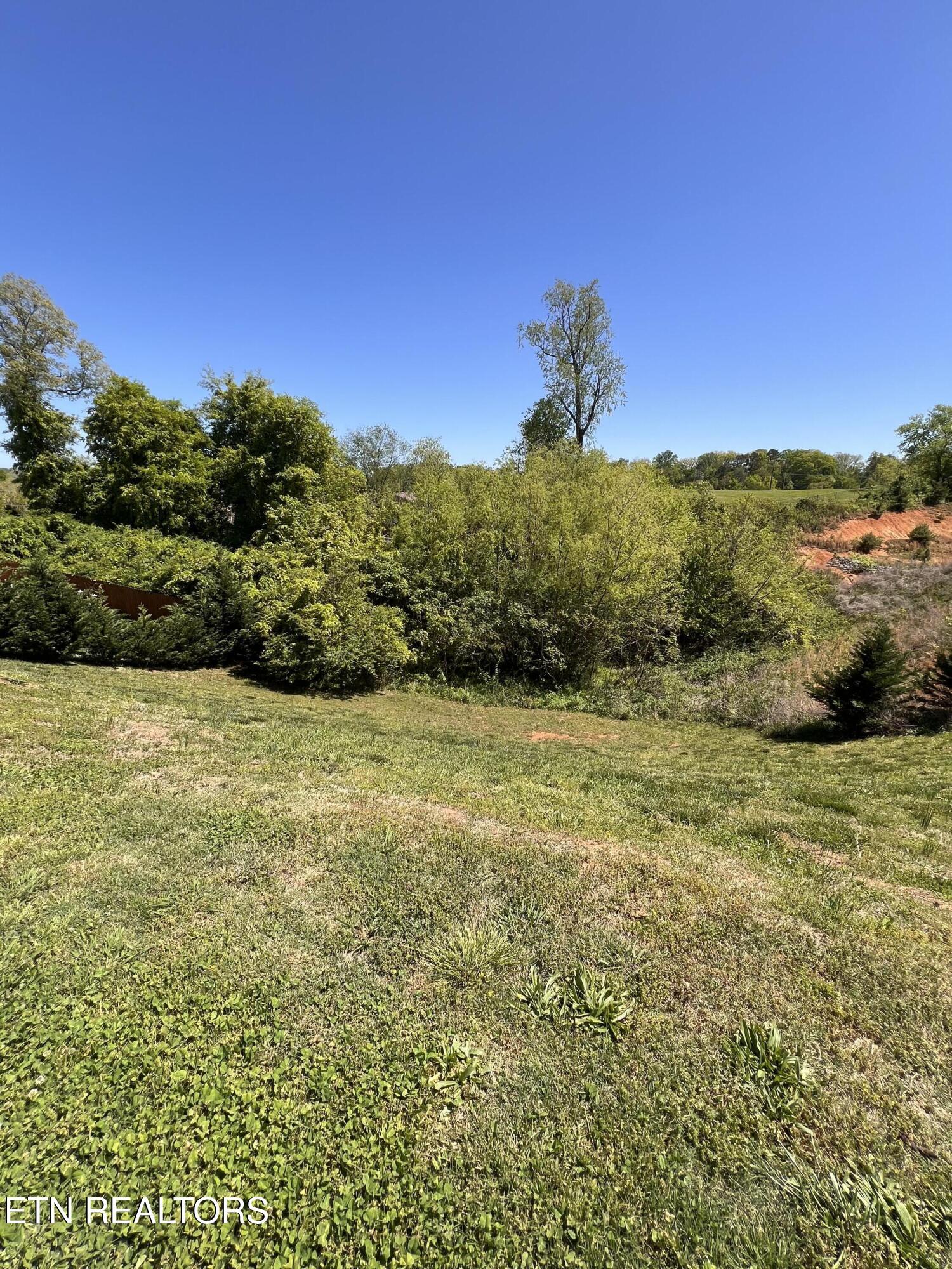 Fort Loudoun and Tellico Lake Real Estate - Image# 33