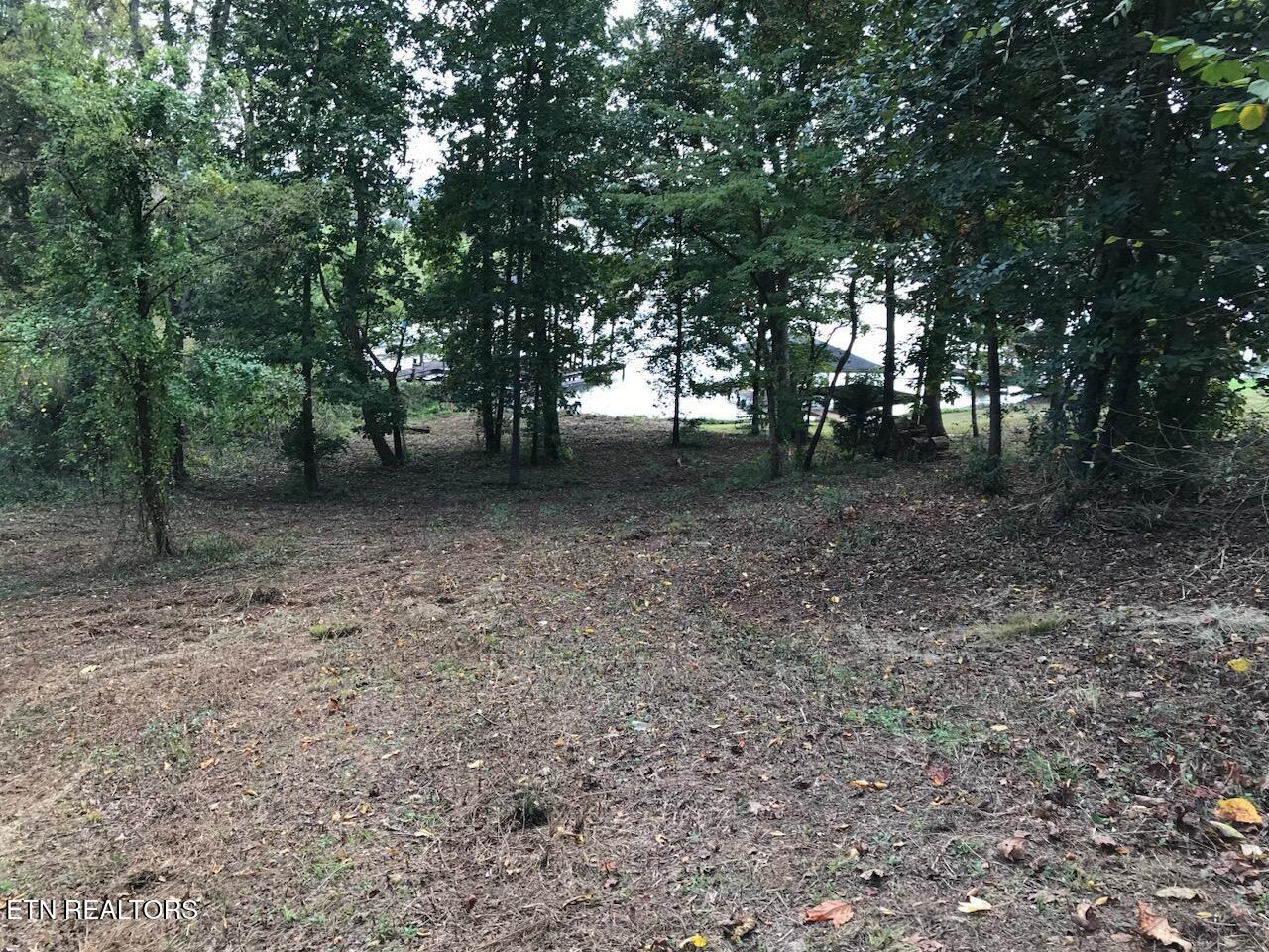 Fort Loudoun and Tellico Lake Real Estate - Image# 4