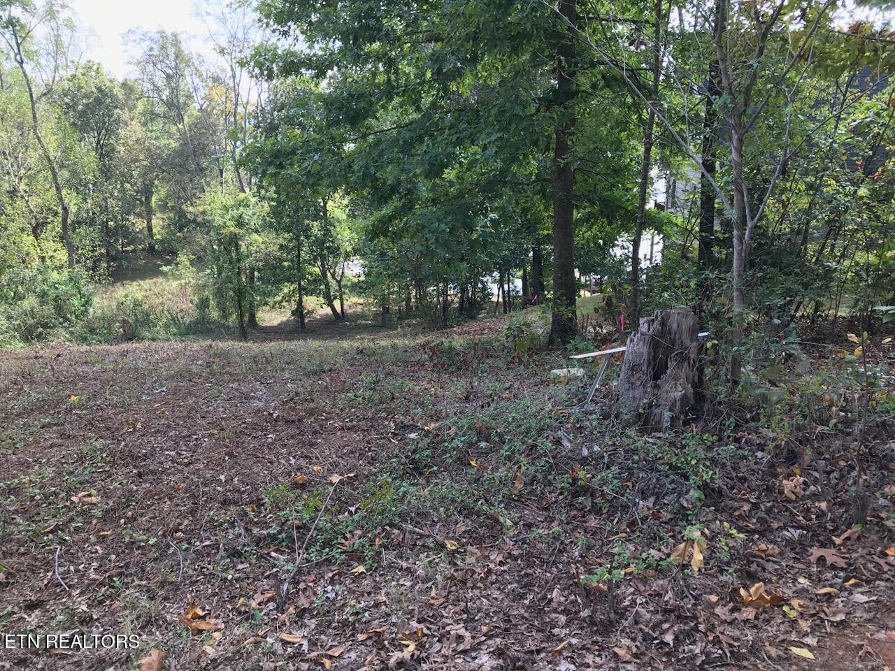 Fort Loudoun and Tellico Lake Real Estate - Image# 5