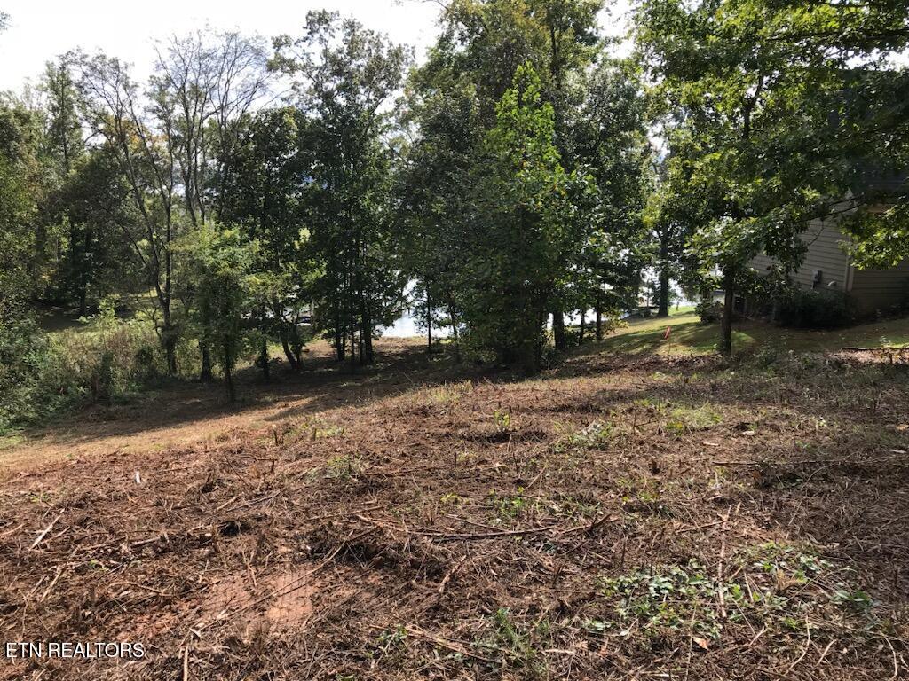 Fort Loudoun and Tellico Lake Real Estate - Image# 6