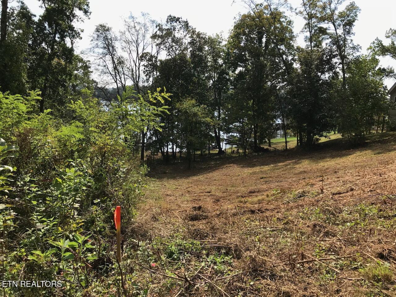 Fort Loudoun and Tellico Lake Real Estate - Image# 7