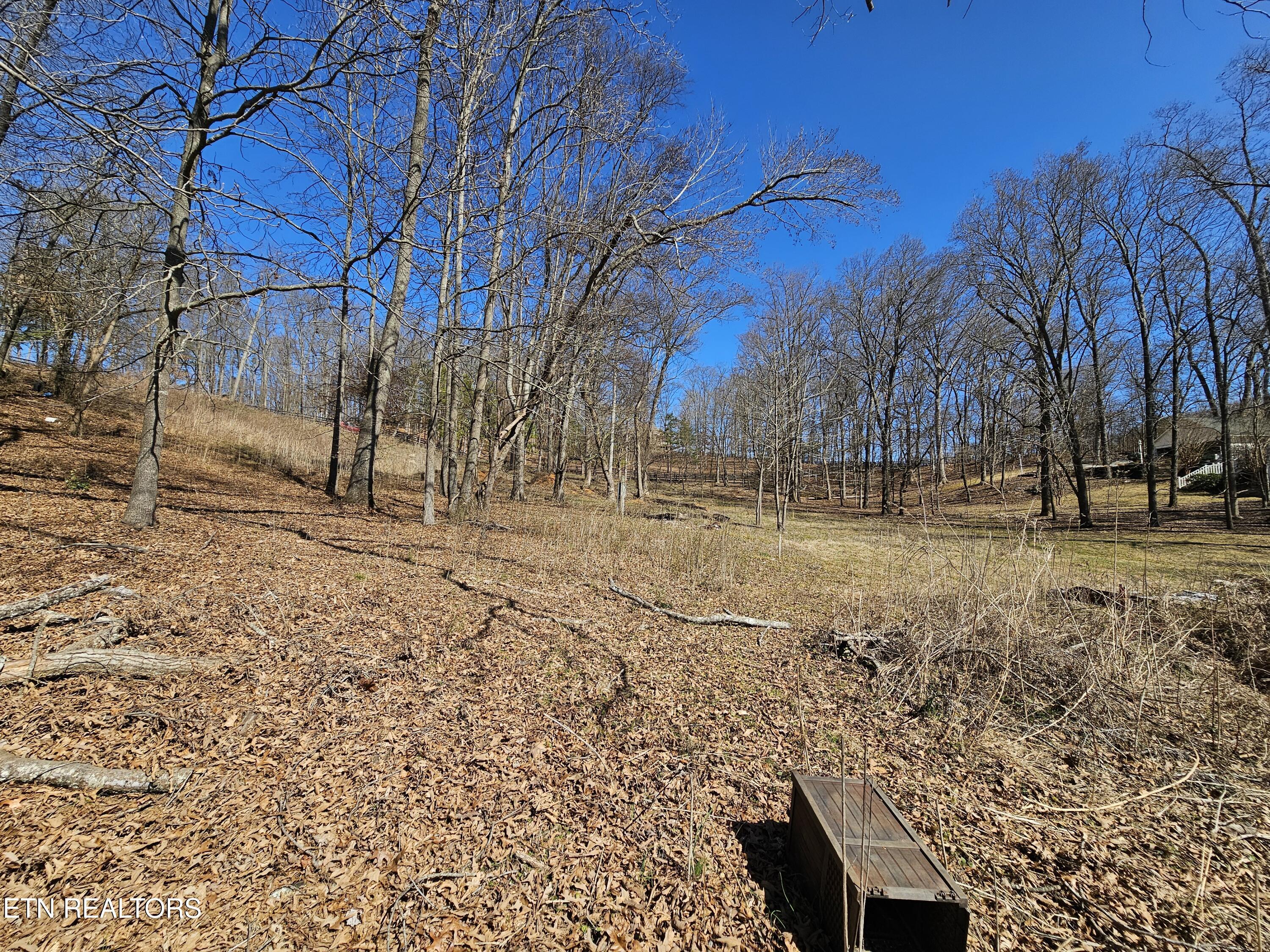 Fort Loudoun and Tellico Lake Real Estate - Image# 3