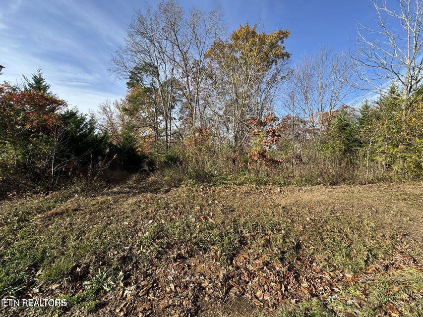 Fort Loudoun and Tellico Lake Real Estate - Image# 8