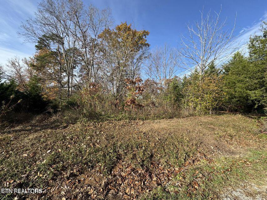Fort Loudoun and Tellico Lake Real Estate - Image# 9