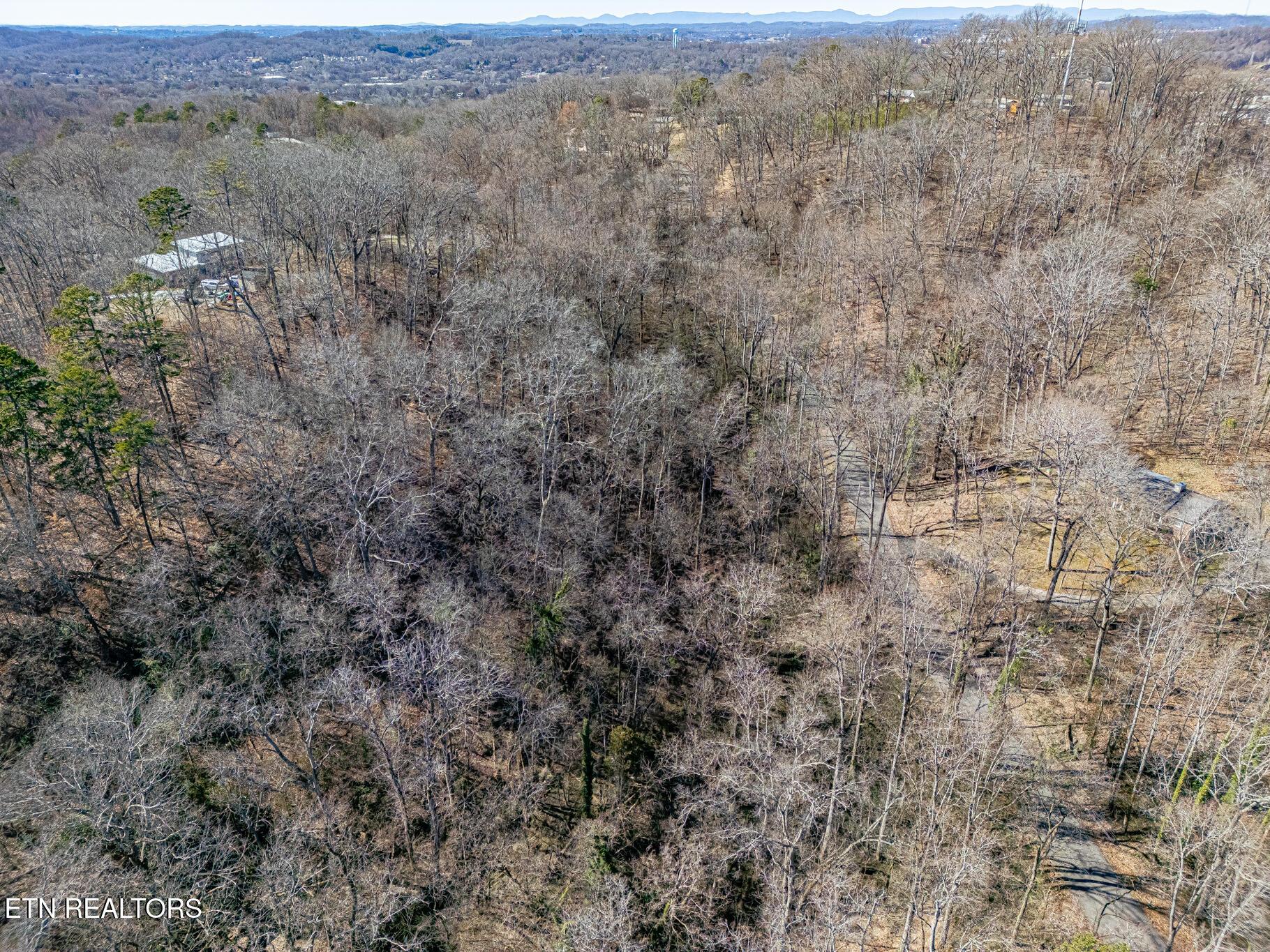 Fort Loudoun and Tellico Lake Real Estate - Image# 8