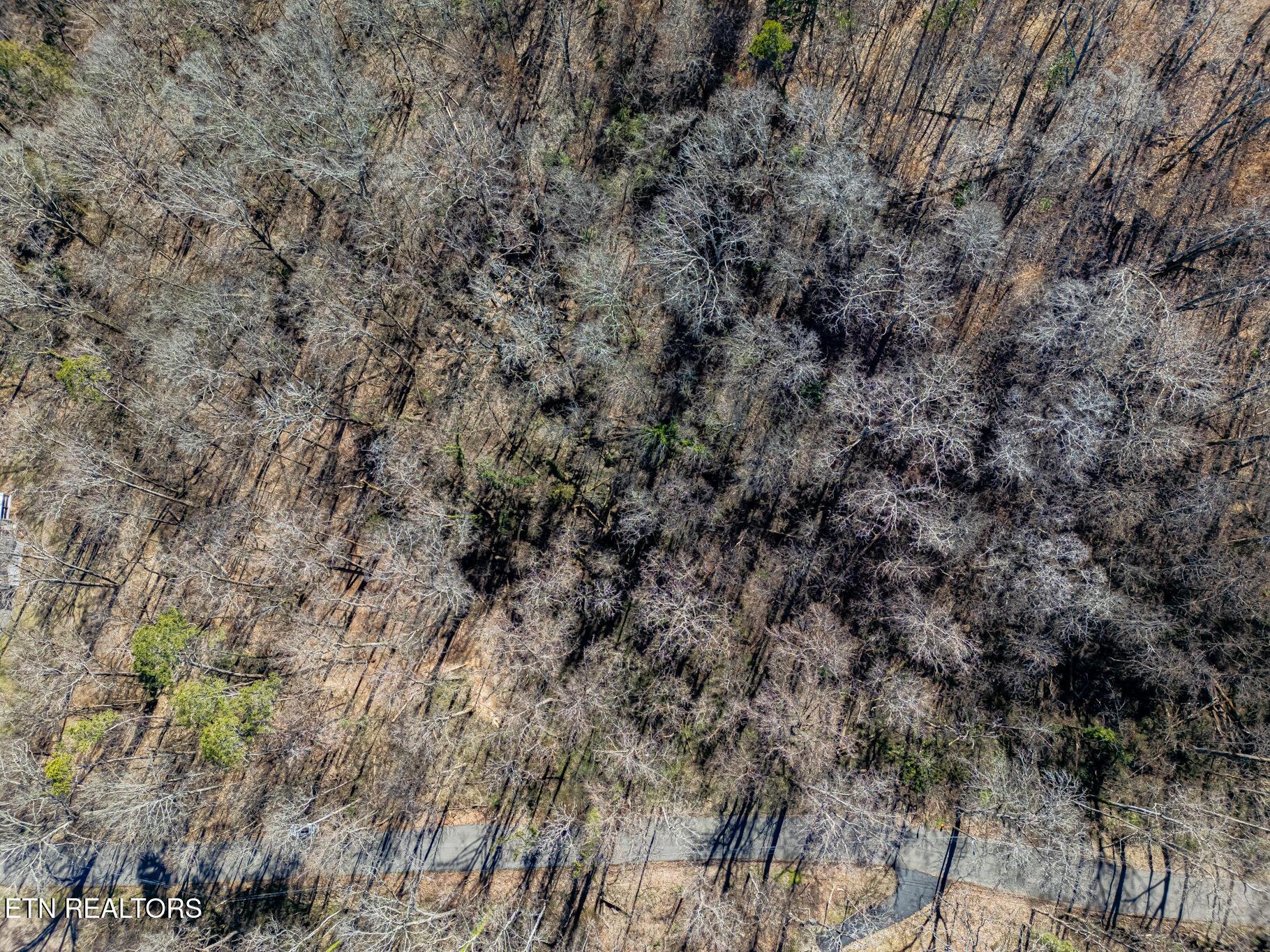 Fort Loudoun and Tellico Lake Real Estate - Image# 10