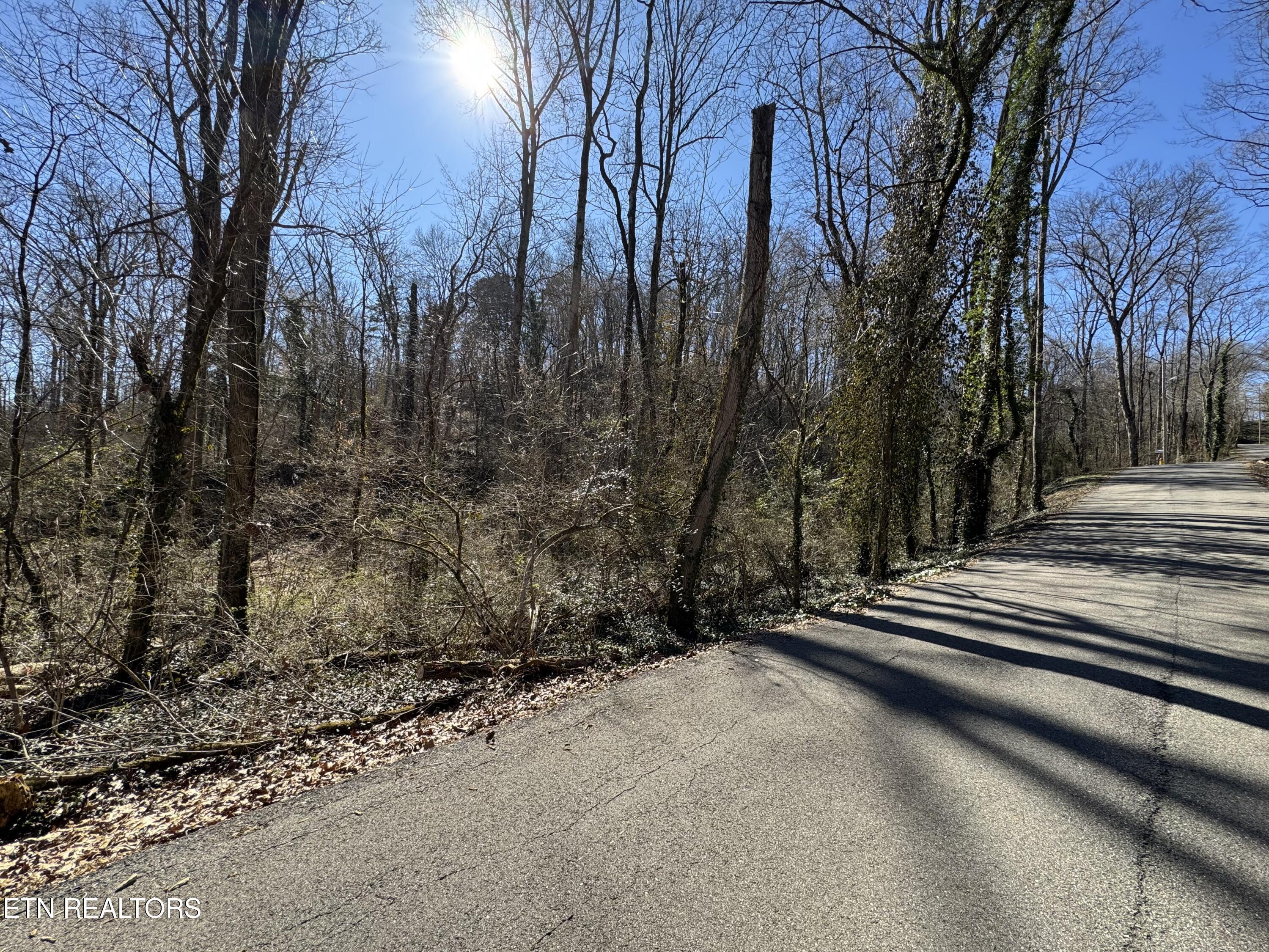 Fort Loudoun and Tellico Lake Real Estate - Image# 11