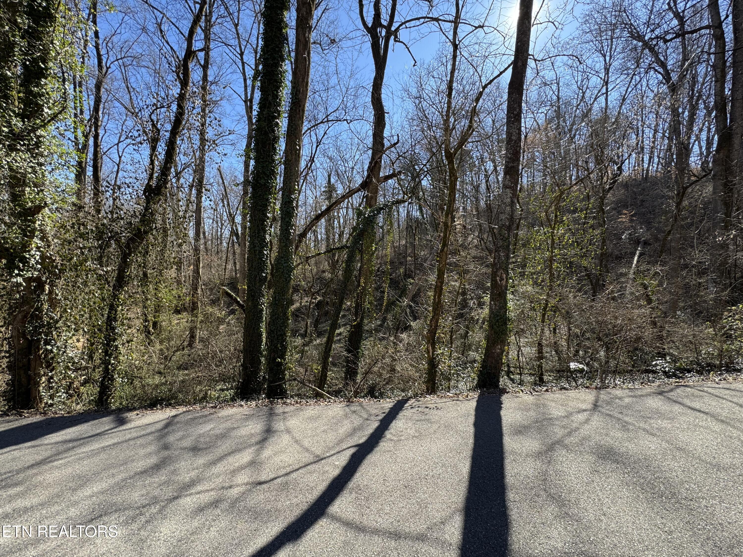 Fort Loudoun and Tellico Lake Real Estate - Image# 12