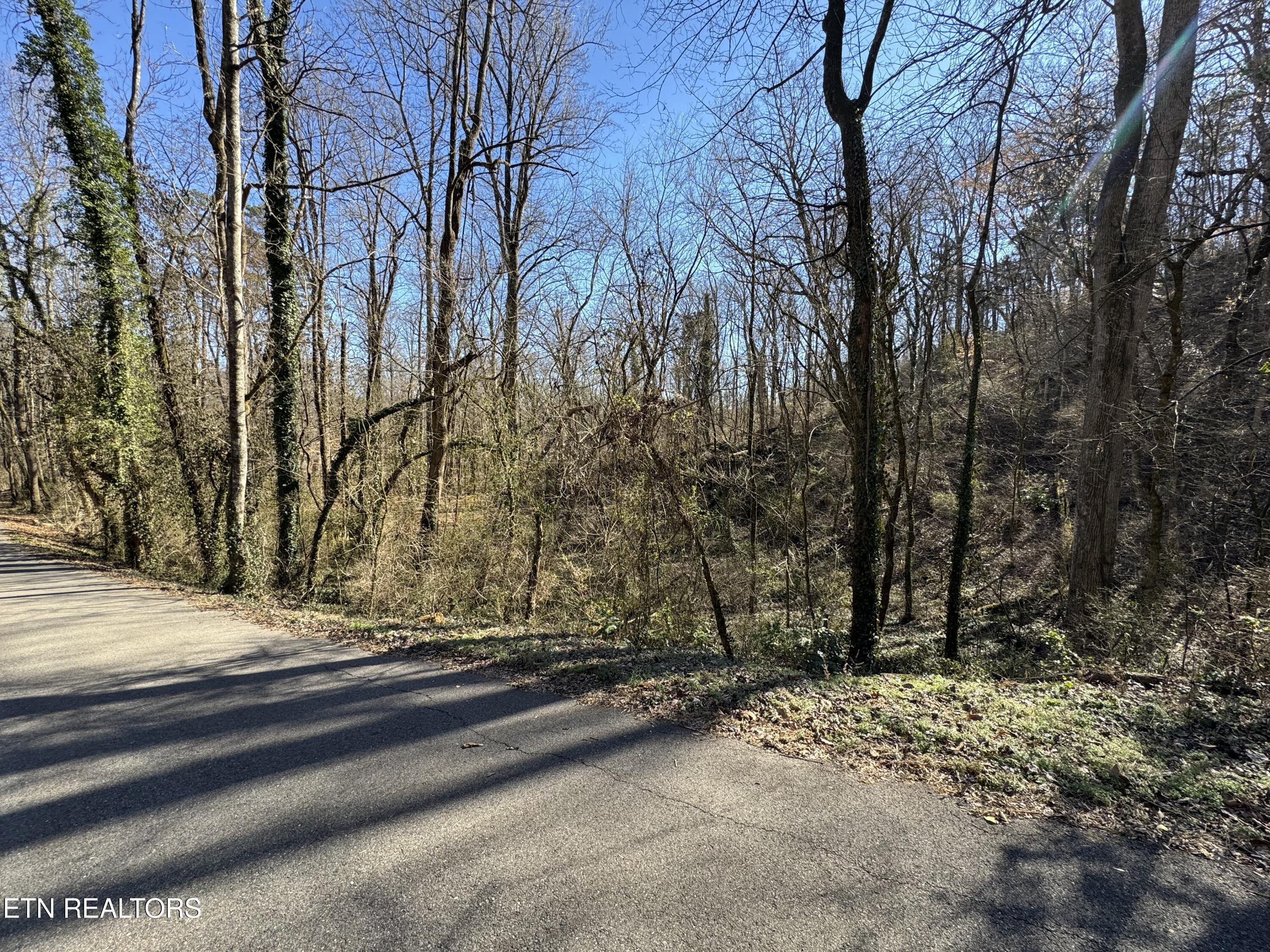 Fort Loudoun and Tellico Lake Real Estate - Image# 13