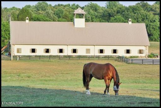 Fort Loudoun and Tellico Lake Real Estate - Image# 34
