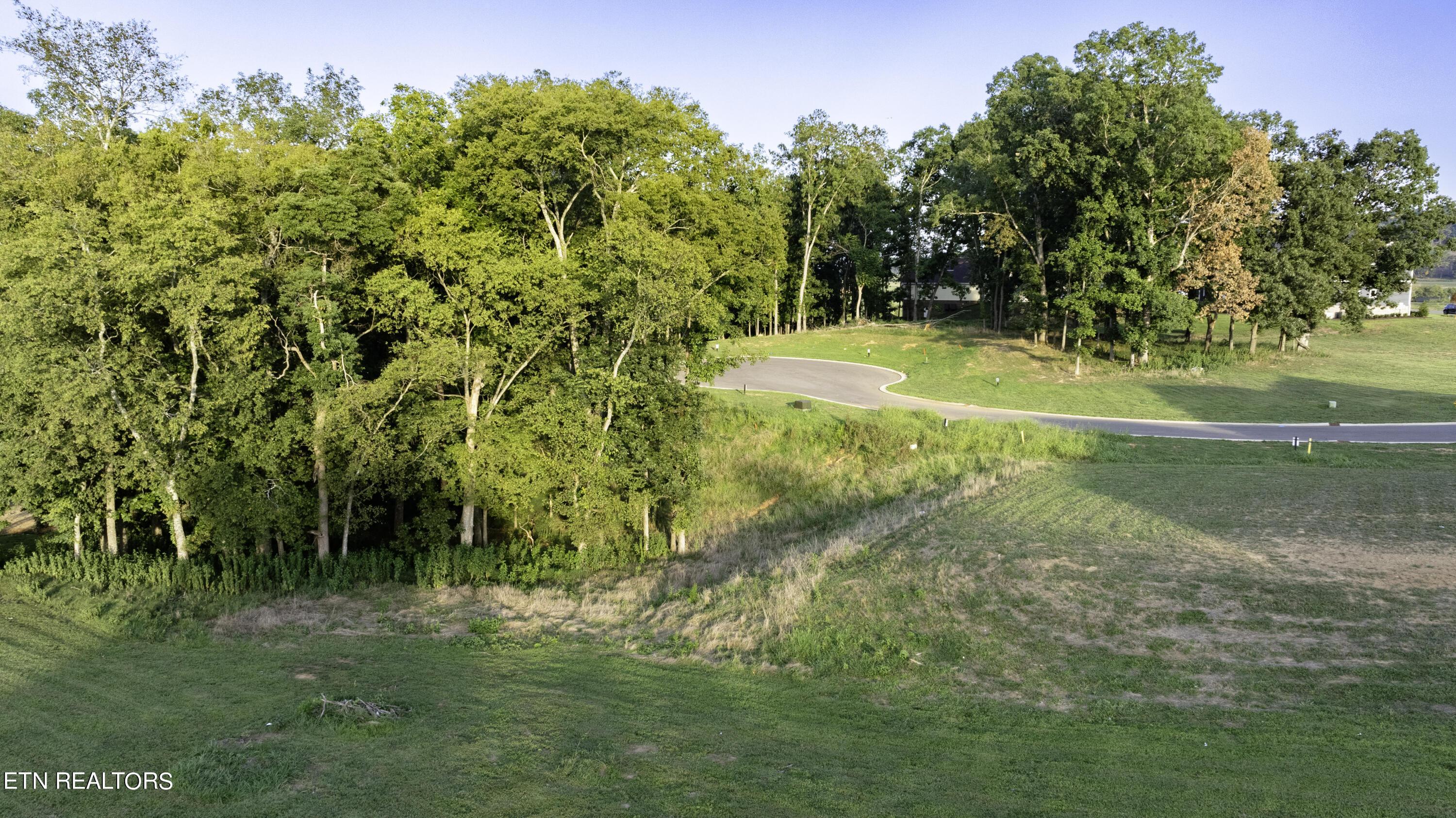 Fort Loudoun and Tellico Lake Real Estate - Image# 22