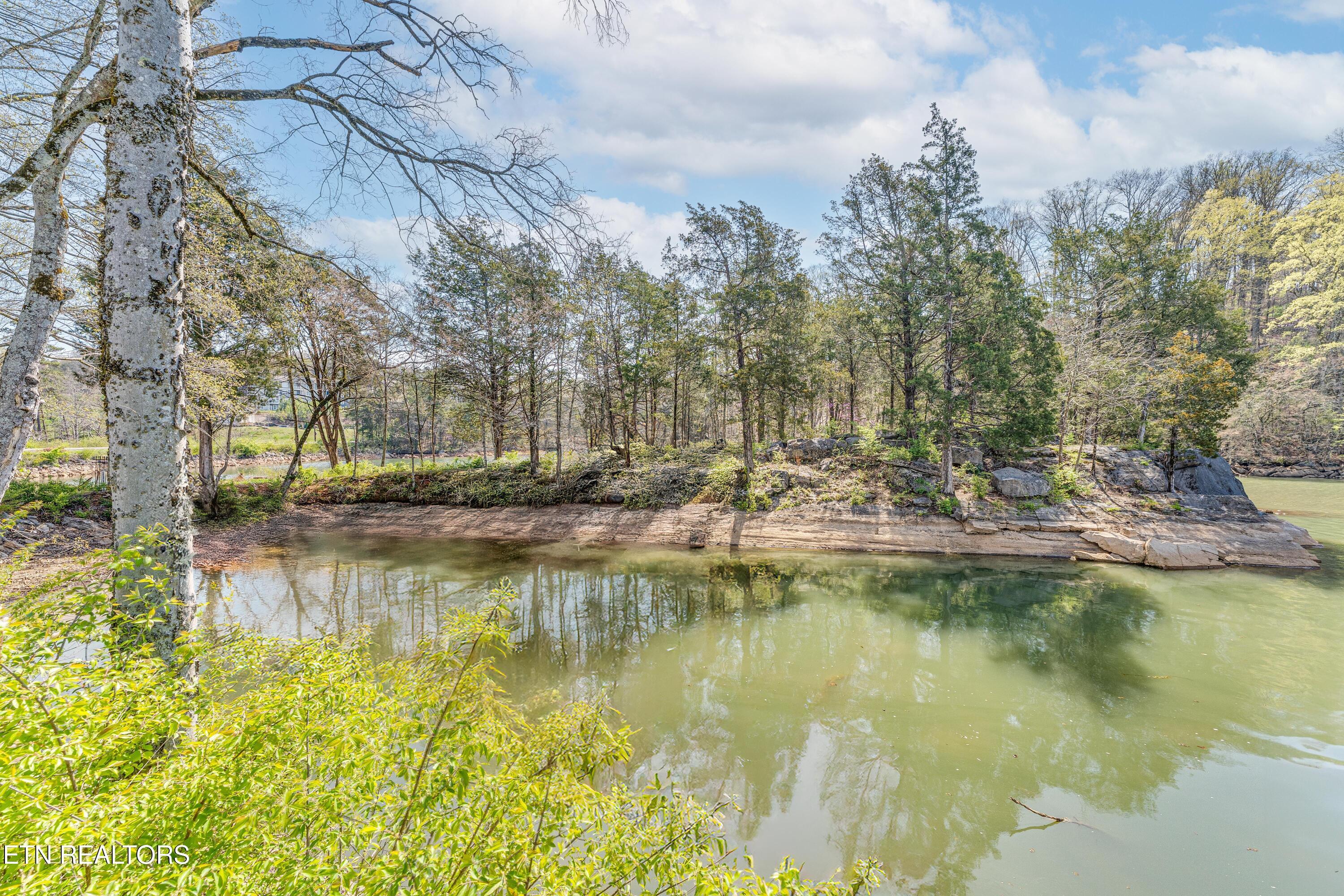 Fort Loudoun and Tellico Lake Real Estate - Image# 50