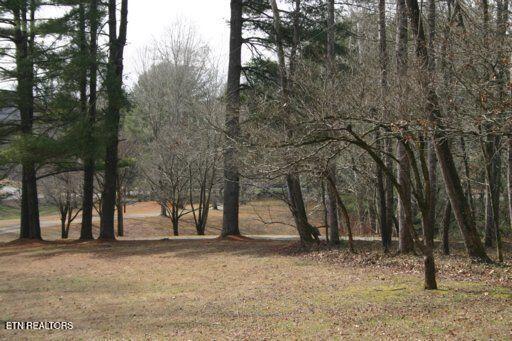 3002 W Gallaher Ferry Rd, Knoxville, TN - Fort Loudoun and Tellico Lake Real Estate - Image# 4