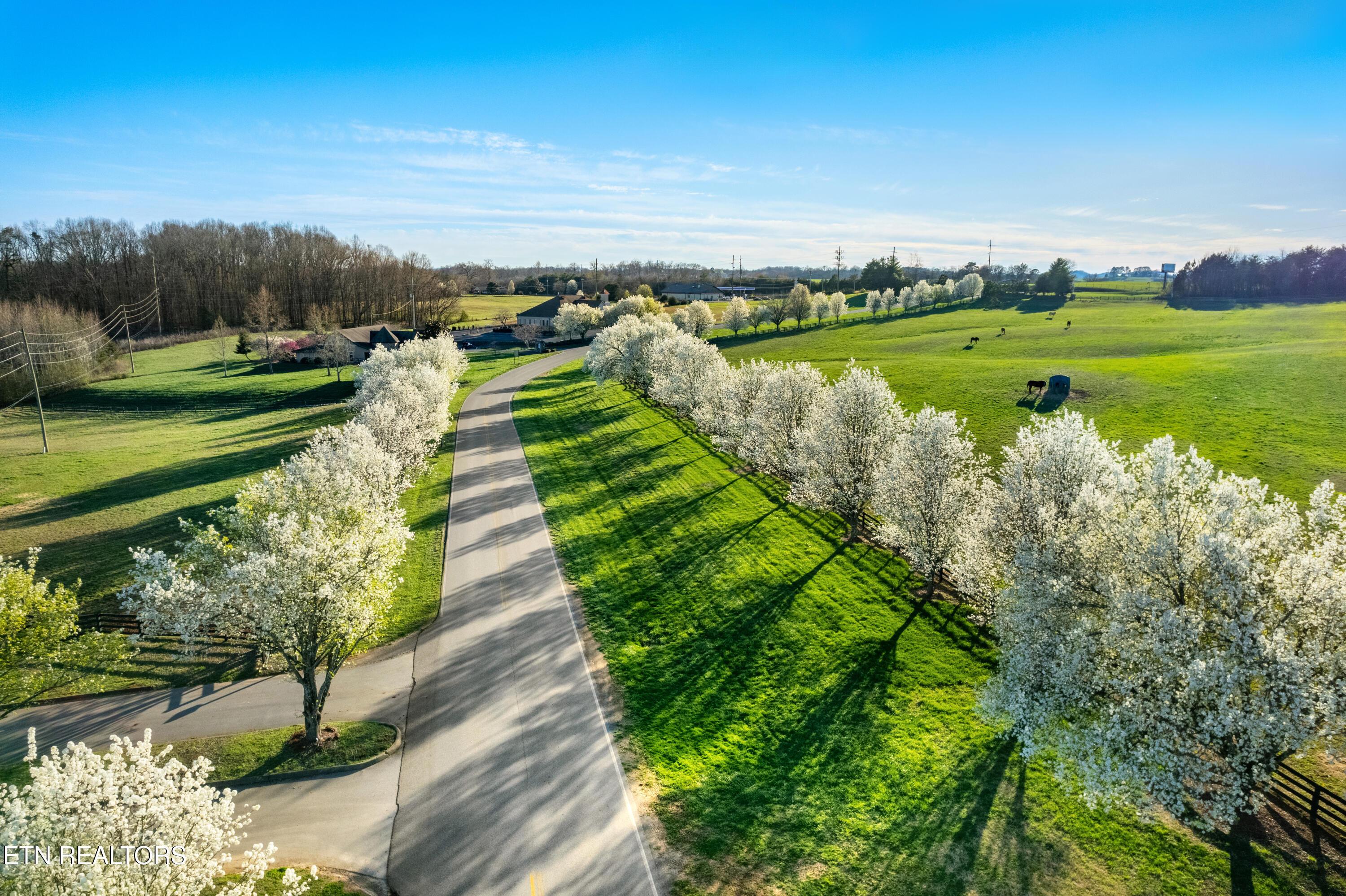 130 Starling Drive, Vonore, TN - Fort Loudoun and Tellico Lake Real Estate - Image# 10
