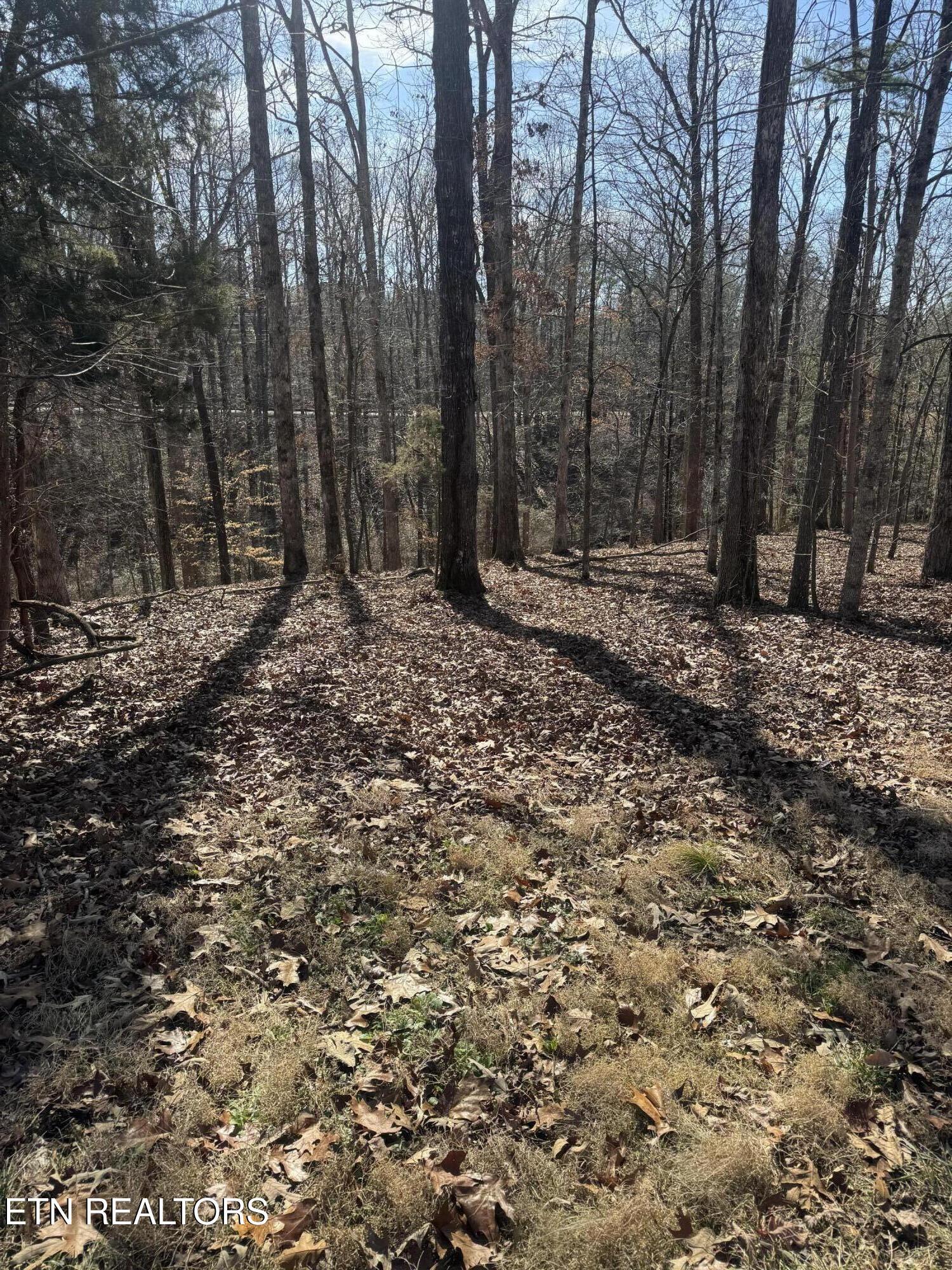 212 Amohi Trce, Loudon, TN - Fort Loudoun and Tellico Lake Real Estate - Image# 2