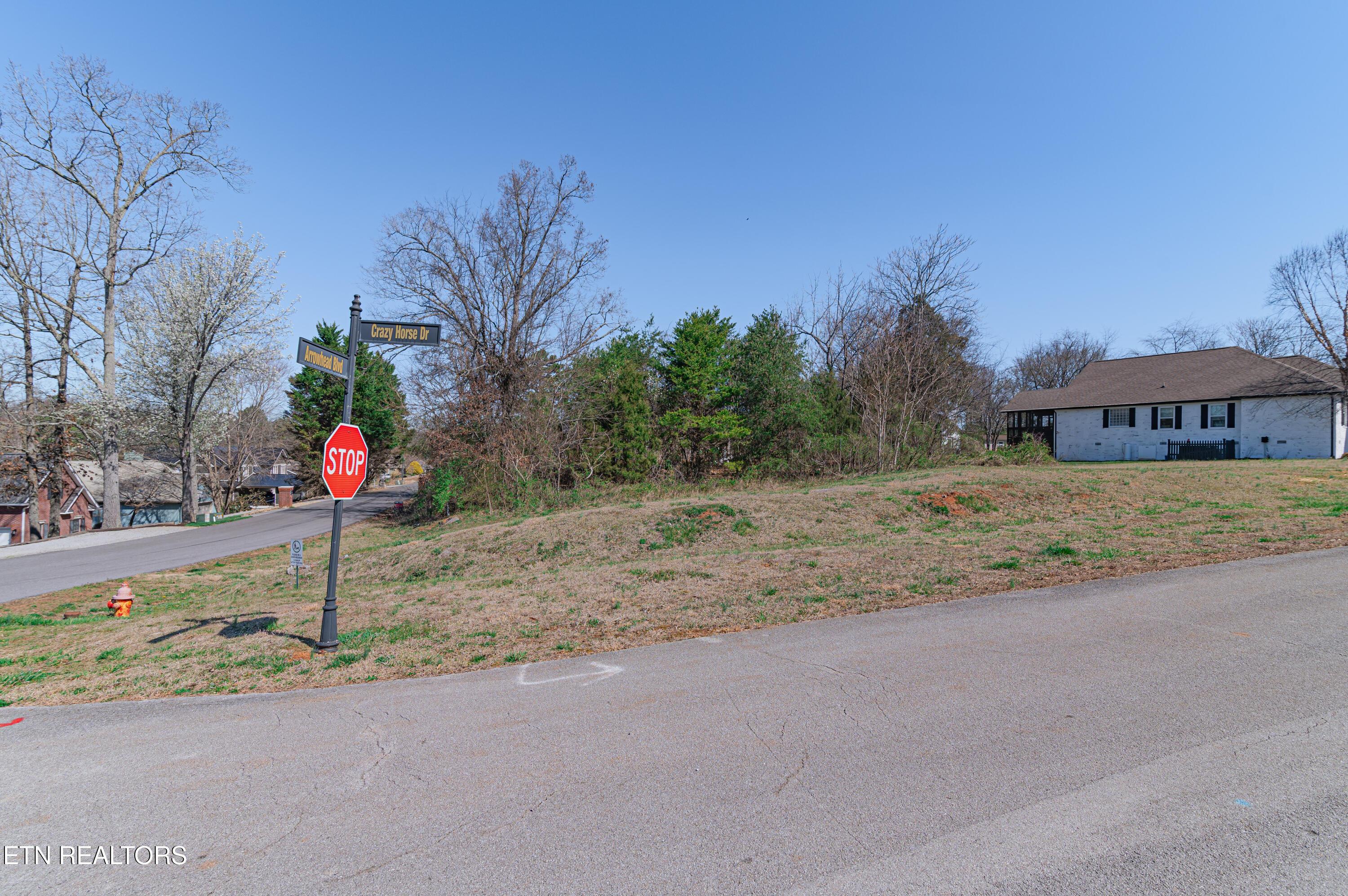 Arrowhead Blvd, Maryville, TN - Fort Loudoun and Tellico Lake Real Estate - Image# 3