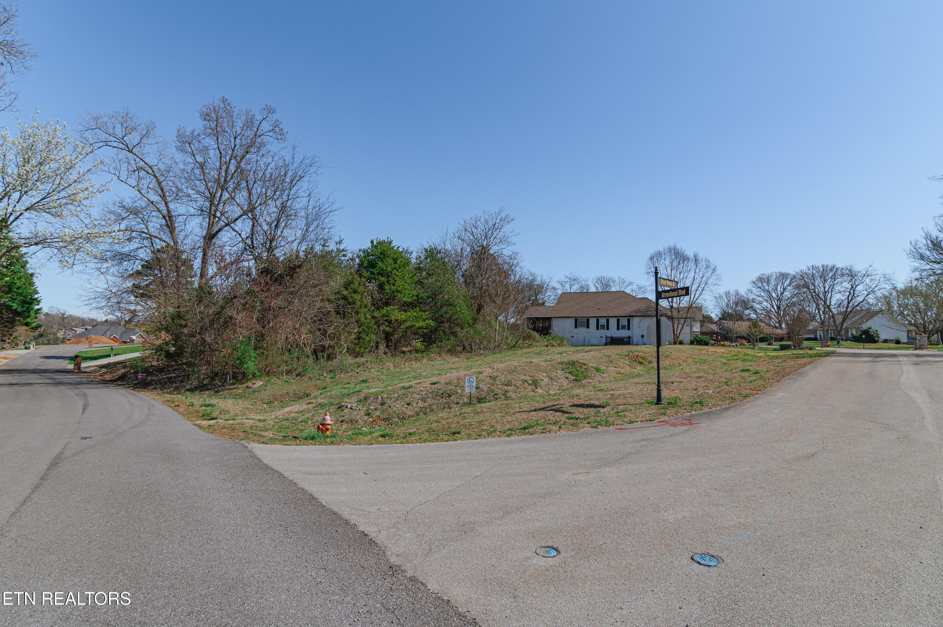 Arrowhead Blvd, Maryville, TN - Fort Loudoun and Tellico Lake Real Estate - Image# 4