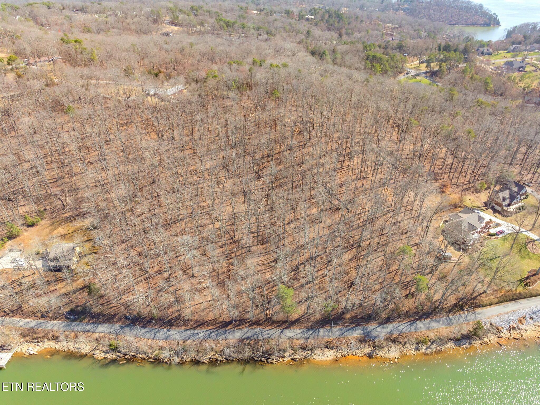 Fort Loudoun and Tellico Lake Real Estate - Image# 8