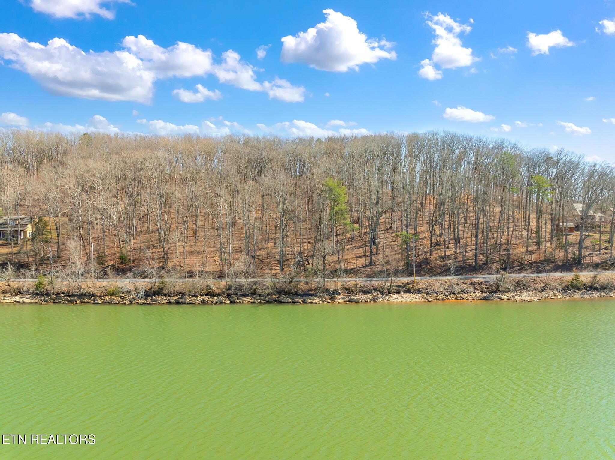 Fort Loudoun and Tellico Lake Real Estate - Image# 26