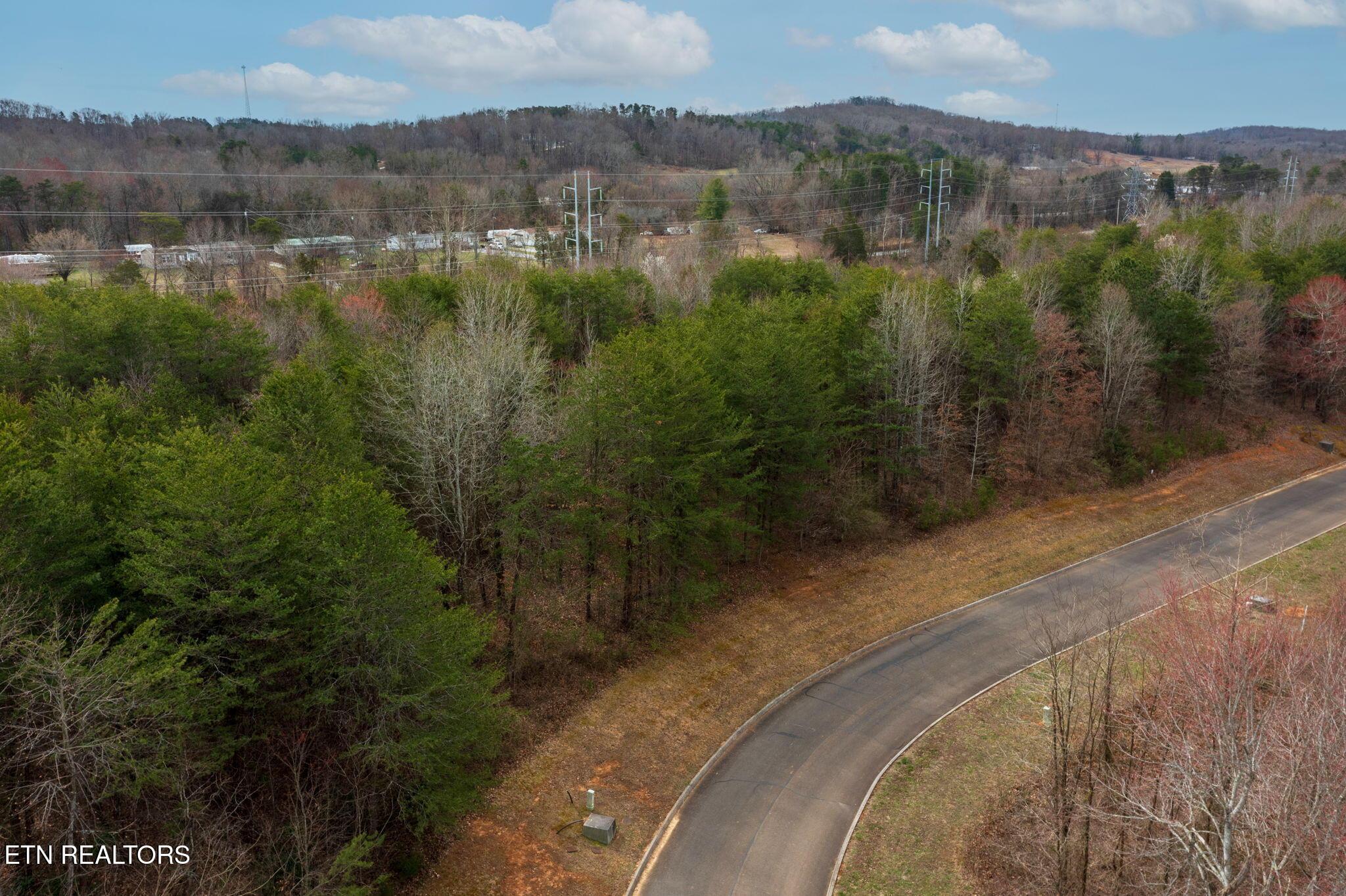 Lot 91 Red Wing Drive, Vonore, TN - Fort Loudoun and Tellico Lake Real Estate - Image# 3