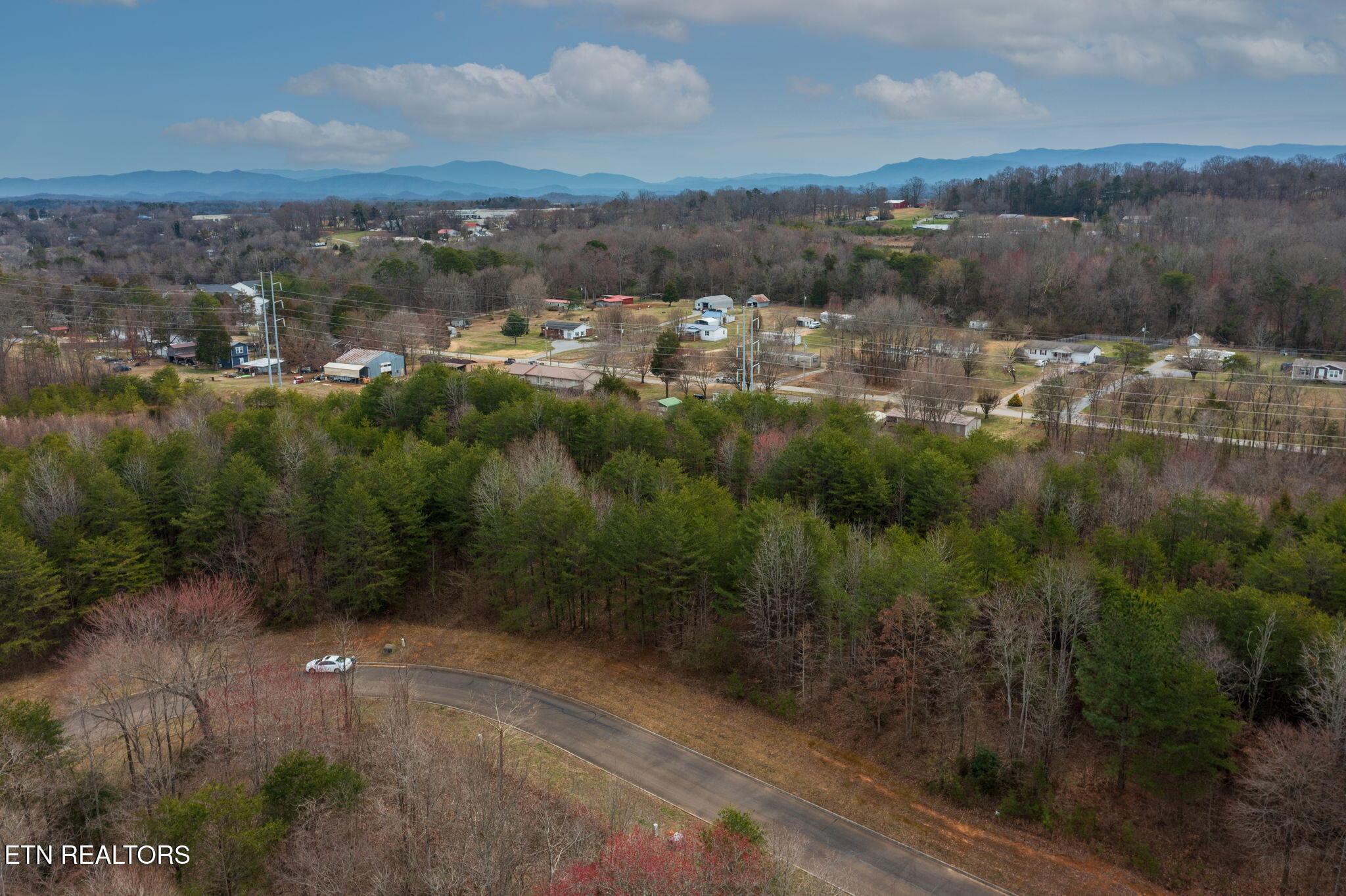 Lot 91 Red Wing Drive, Vonore, TN - Fort Loudoun and Tellico Lake Real Estate - Image# 12
