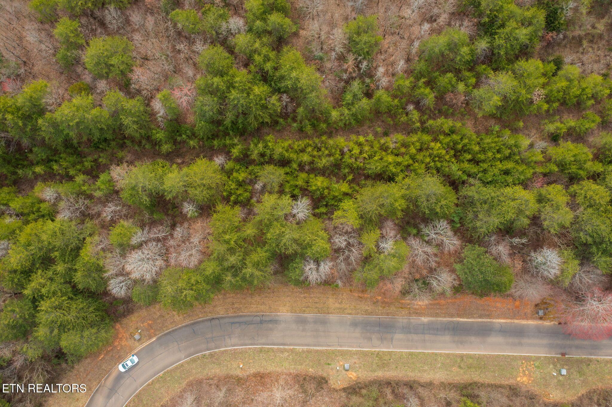 Lot 91 Red Wing Drive, Vonore, TN - Fort Loudoun and Tellico Lake Real Estate - Image# 7