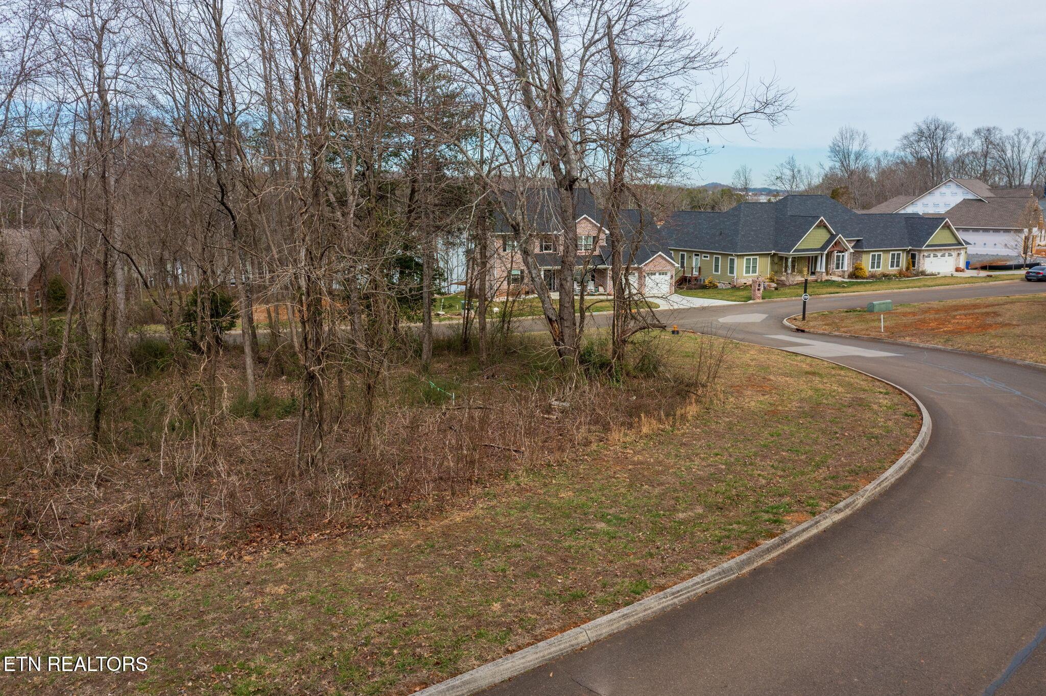 Lot 91 Red Wing Drive, Vonore, TN - Fort Loudoun and Tellico Lake Real Estate - Image# 4