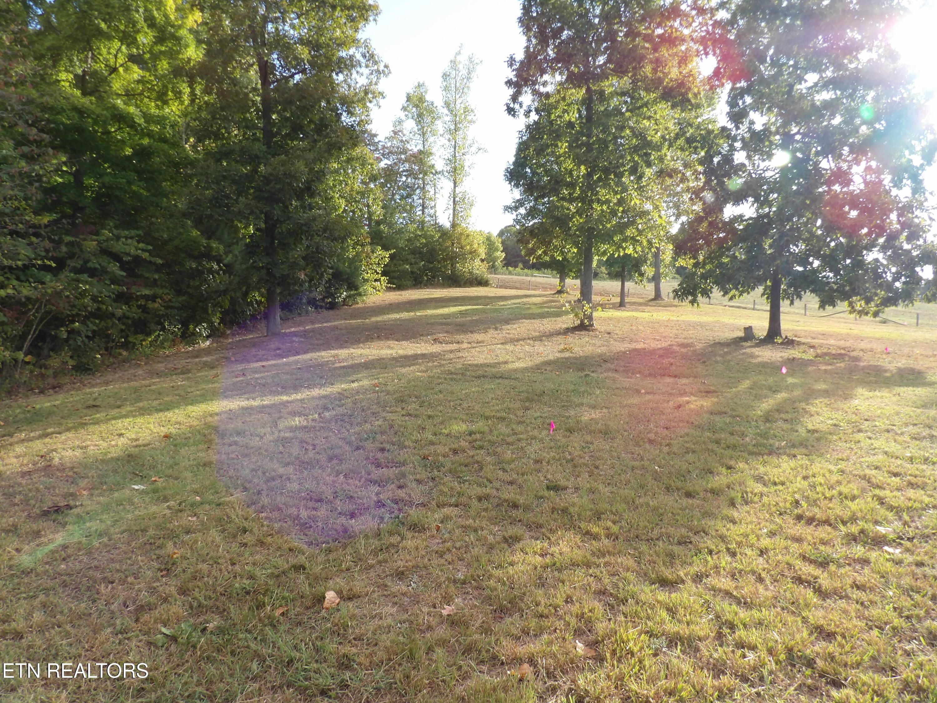Bat Creek Shores Lane, Vonore, TN - Fort Loudoun and Tellico Lake Real Estate - Image# 4