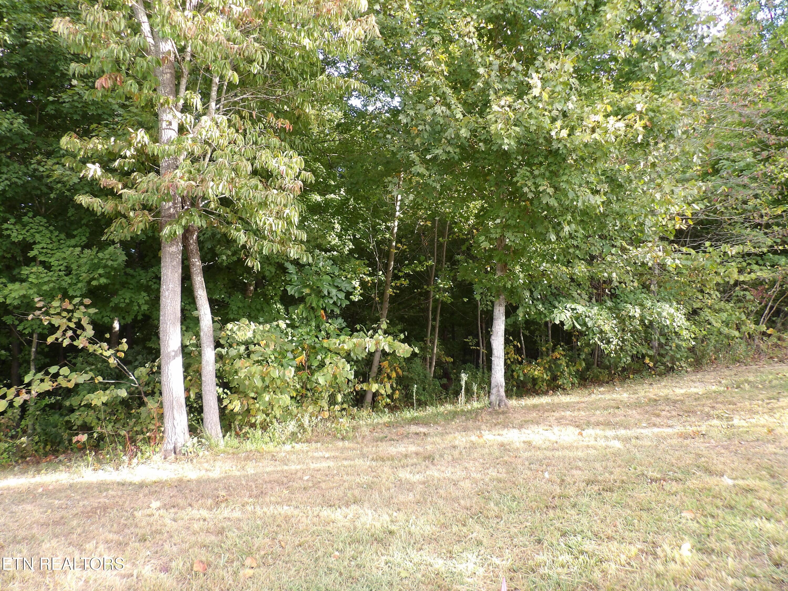 Bat Creek Shores Lane, Vonore, TN - Fort Loudoun and Tellico Lake Real Estate - Image# 5