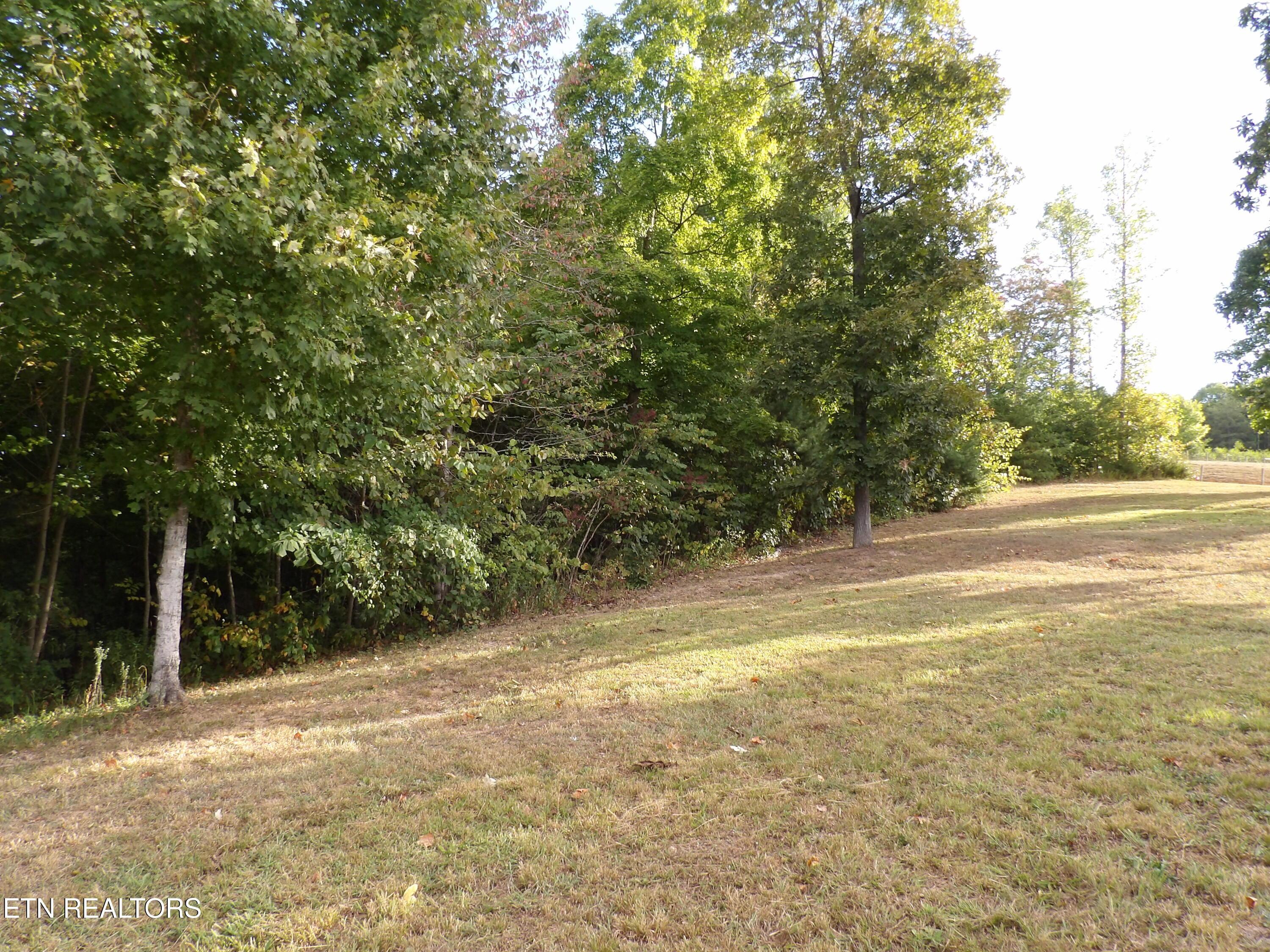 Bat Creek Shores Lane, Vonore, TN - Fort Loudoun and Tellico Lake Real Estate - Image# 6