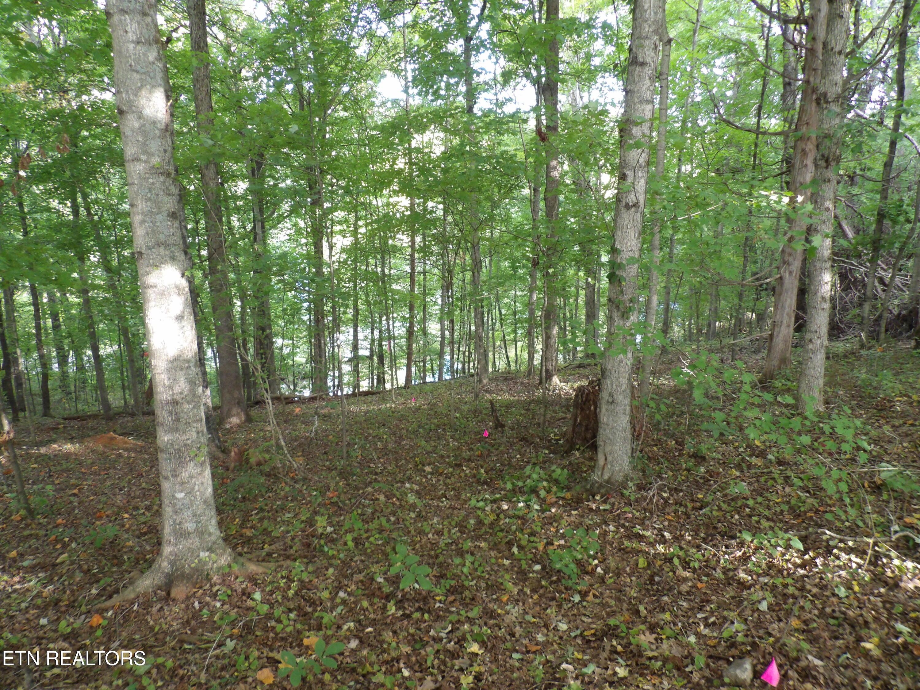 Bat Creek Shores Lane, Vonore, TN - Fort Loudoun and Tellico Lake Real Estate - Image# 7
