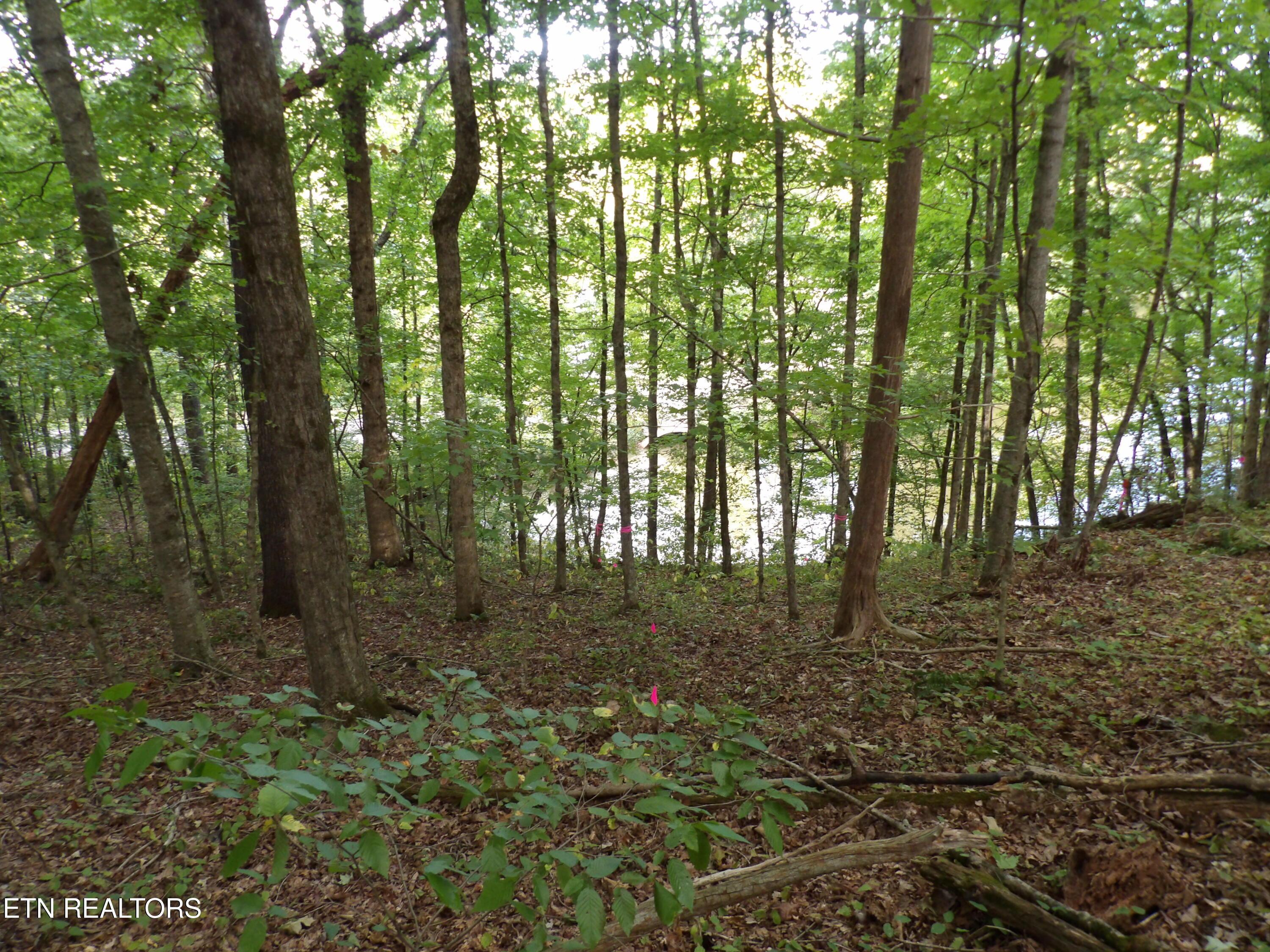 Bat Creek Shores Lane, Vonore, TN - Fort Loudoun and Tellico Lake Real Estate - Image# 9