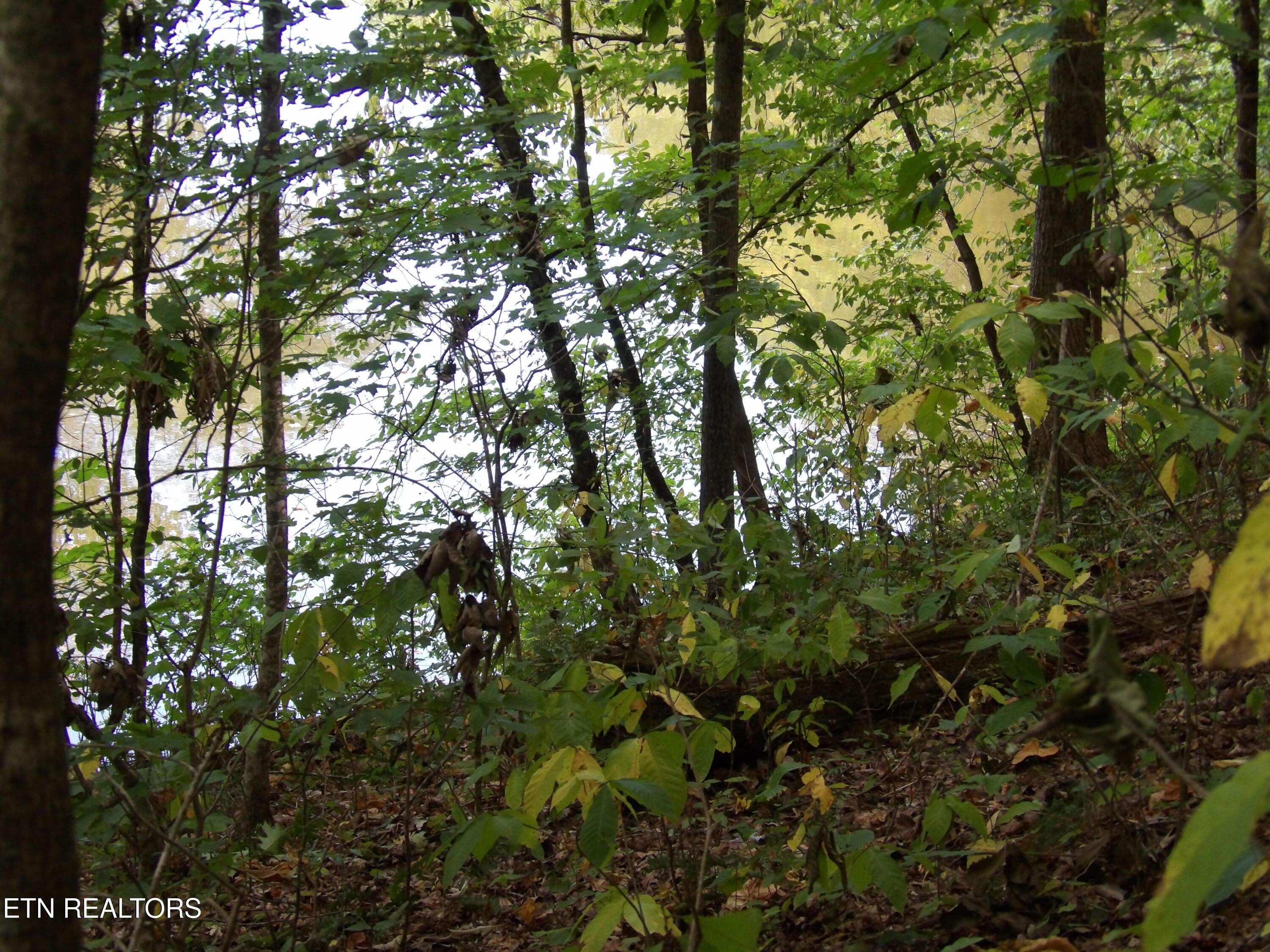 Bat Creek Shores Lane, Vonore, TN - Fort Loudoun and Tellico Lake Real Estate - Image# 12