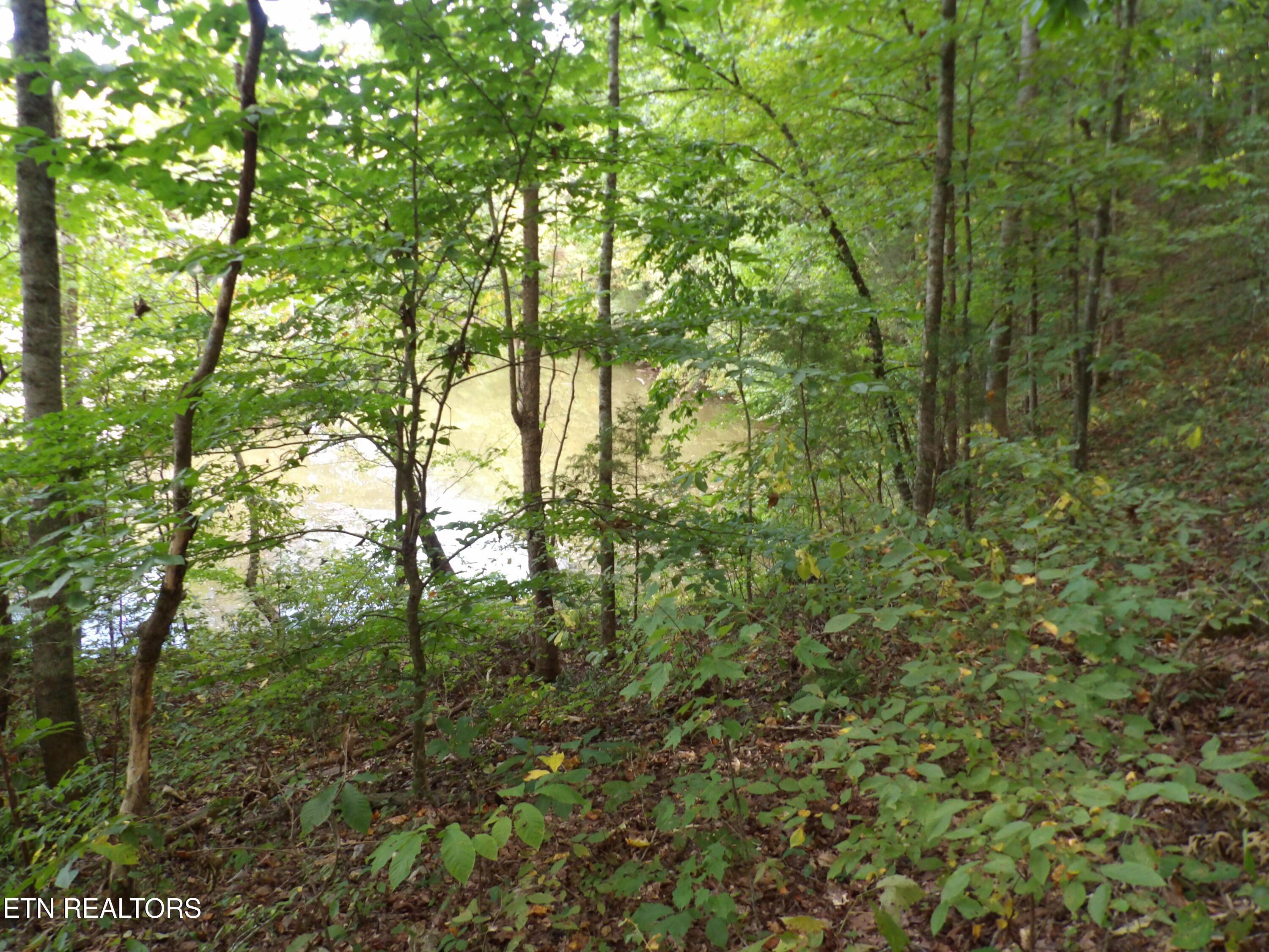 Bat Creek Shores Lane, Vonore, TN - Fort Loudoun and Tellico Lake Real Estate - Image# 13