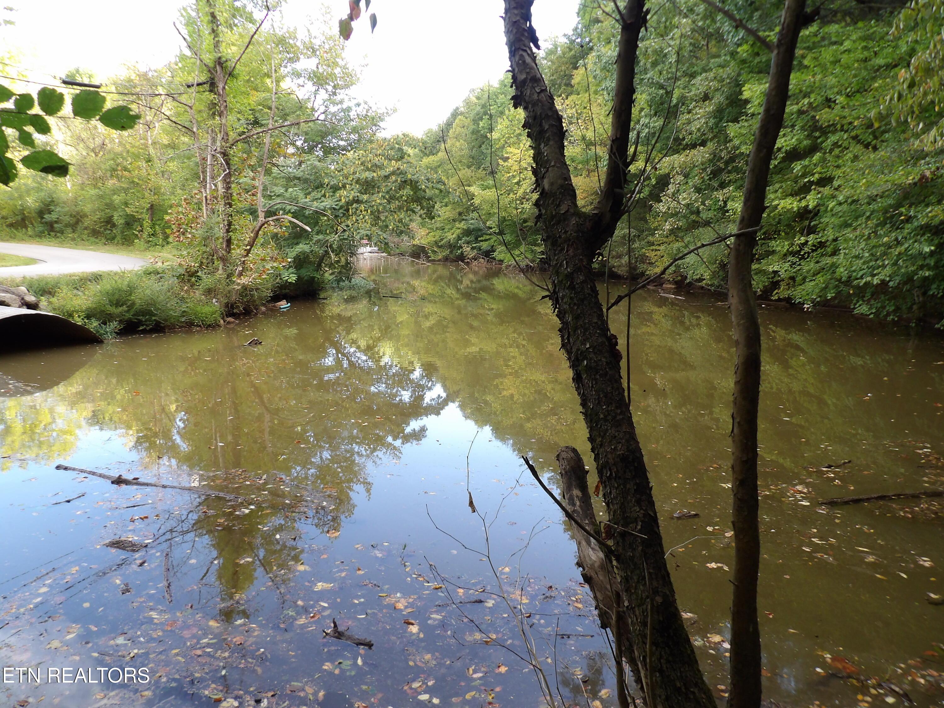 Bat Creek Shores Lane, Vonore, TN - Fort Loudoun and Tellico Lake Real Estate - Image# 14