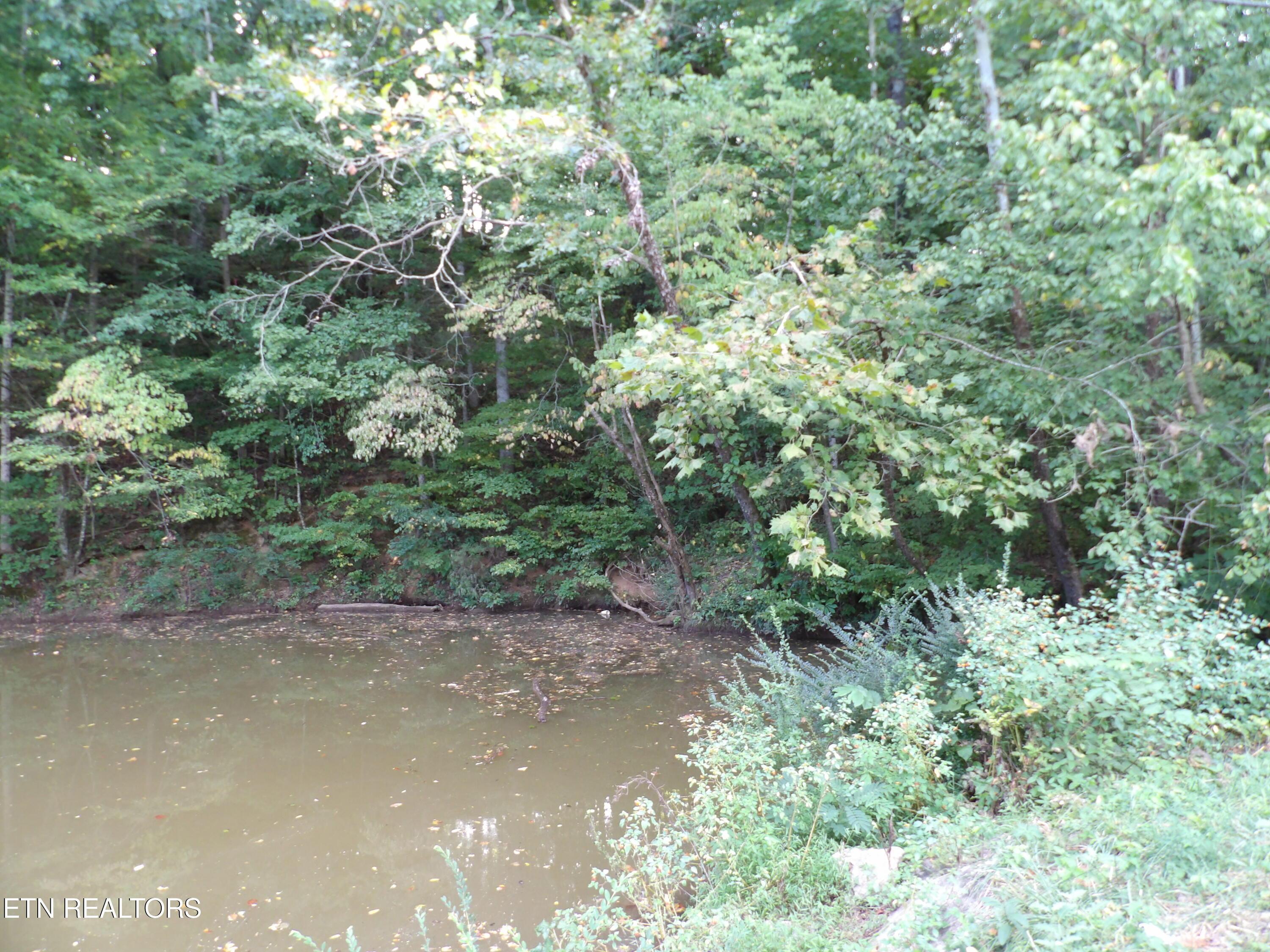 Bat Creek Shores Lane, Vonore, TN - Fort Loudoun and Tellico Lake Real Estate - Image# 16