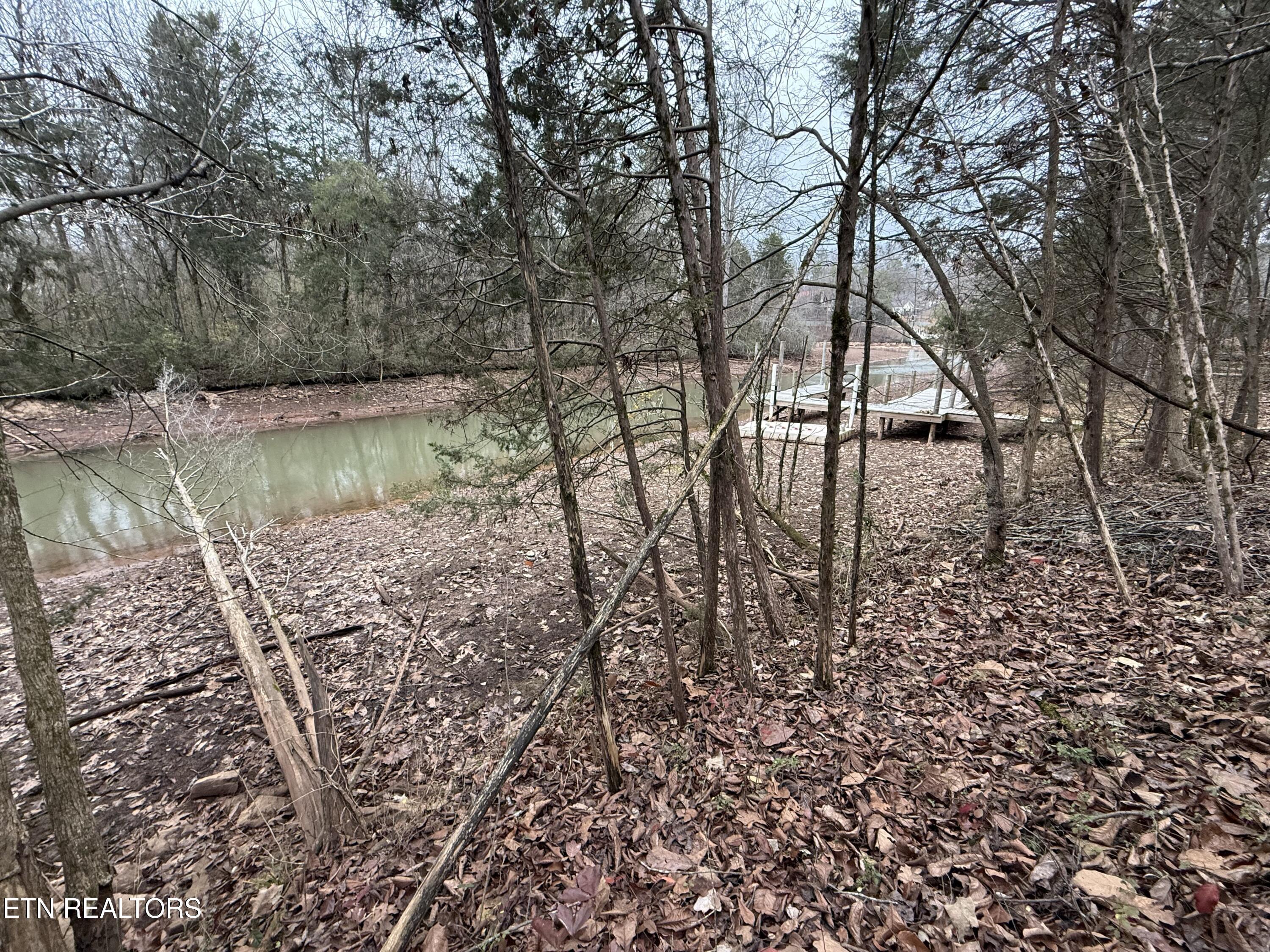 159 Bat Creek Shores Lane, Vonore, TN - Fort Loudoun and Tellico Lake Real Estate - Image# 11