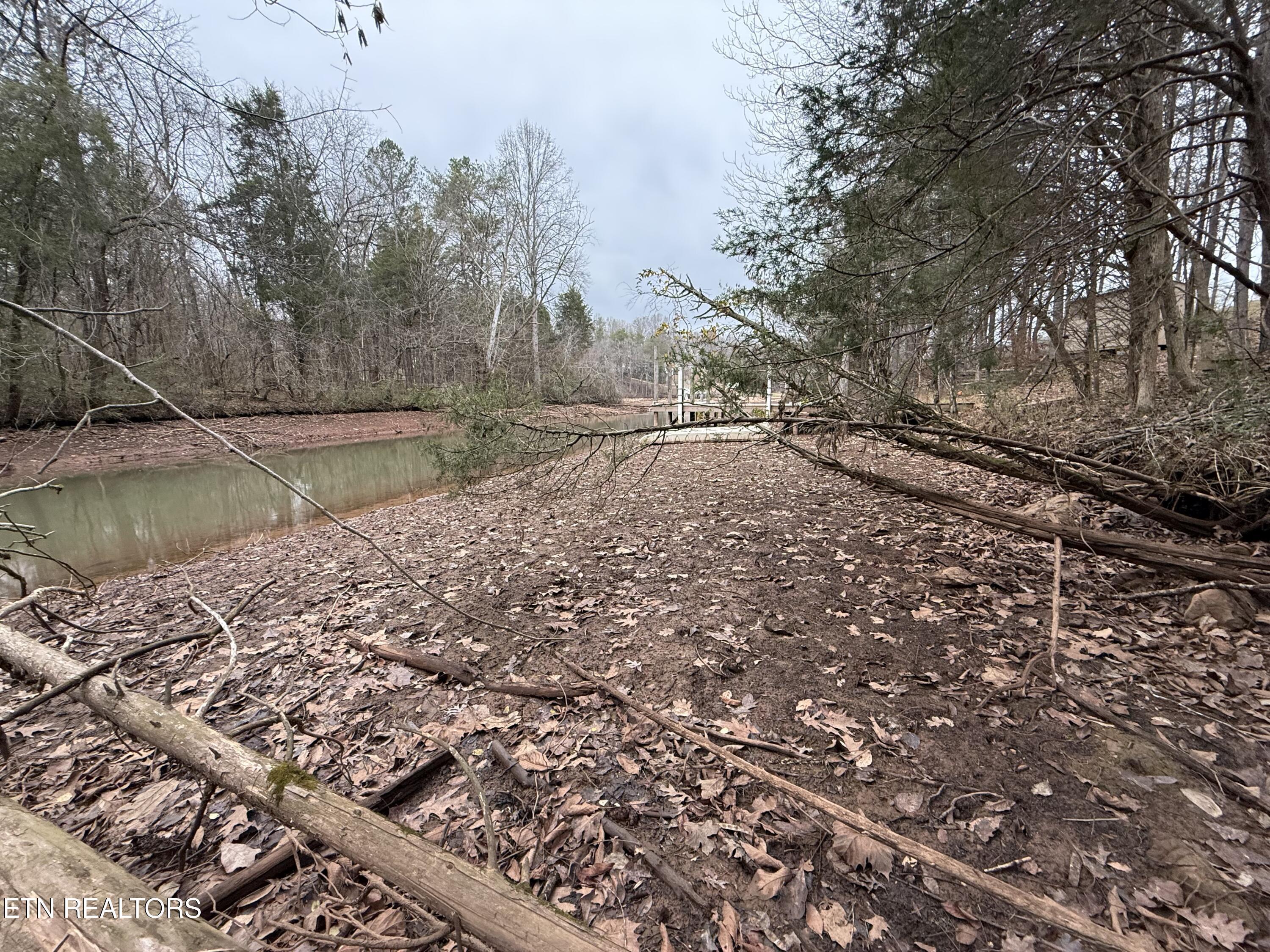 159 Bat Creek Shores Lane, Vonore, TN - Fort Loudoun and Tellico Lake Real Estate - Image# 12