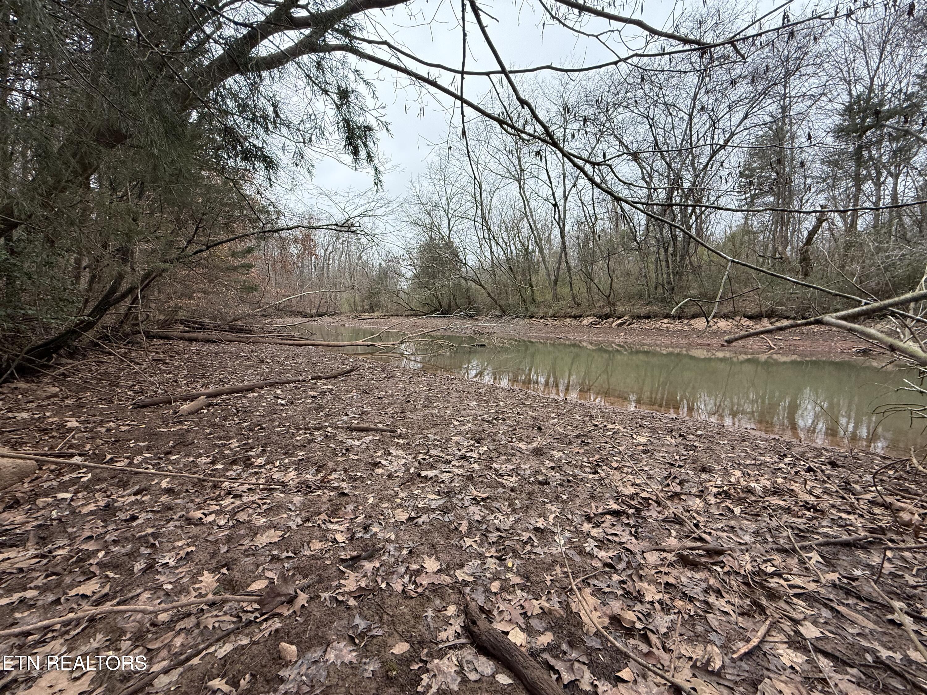 159 Bat Creek Shores Lane, Vonore, TN - Fort Loudoun and Tellico Lake Real Estate - Image# 13