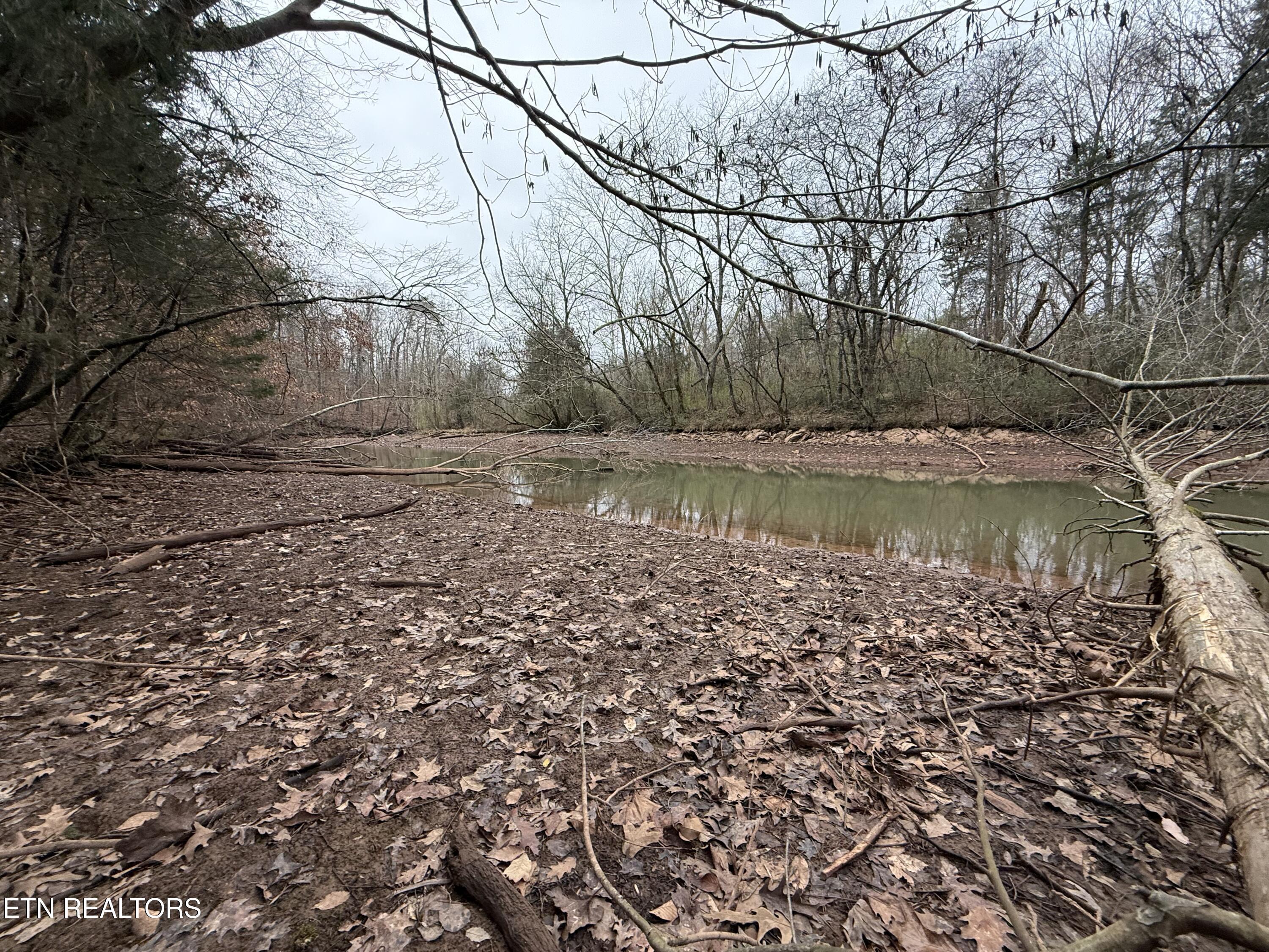 159 Bat Creek Shores Lane, Vonore, TN - Fort Loudoun and Tellico Lake Real Estate - Image# 14