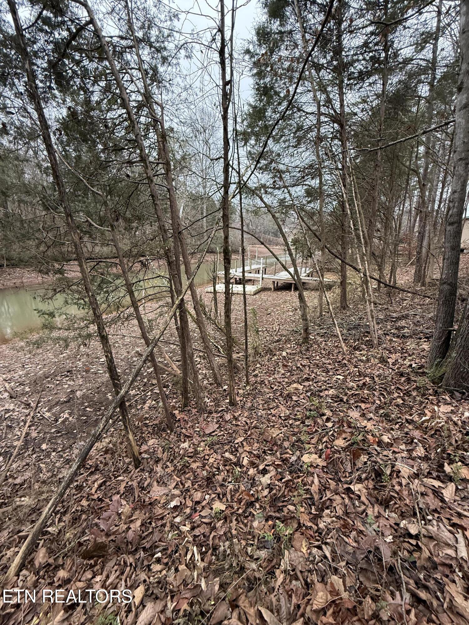 159 Bat Creek Shores Lane, Vonore, TN - Fort Loudoun and Tellico Lake Real Estate - Image# 9