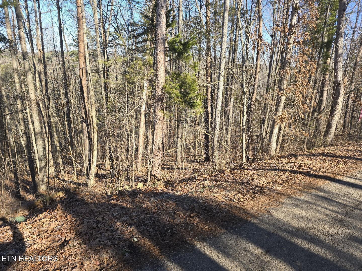 159 Bat Creek Shores Lane, Vonore, TN - Fort Loudoun and Tellico Lake Real Estate - Image# 21
