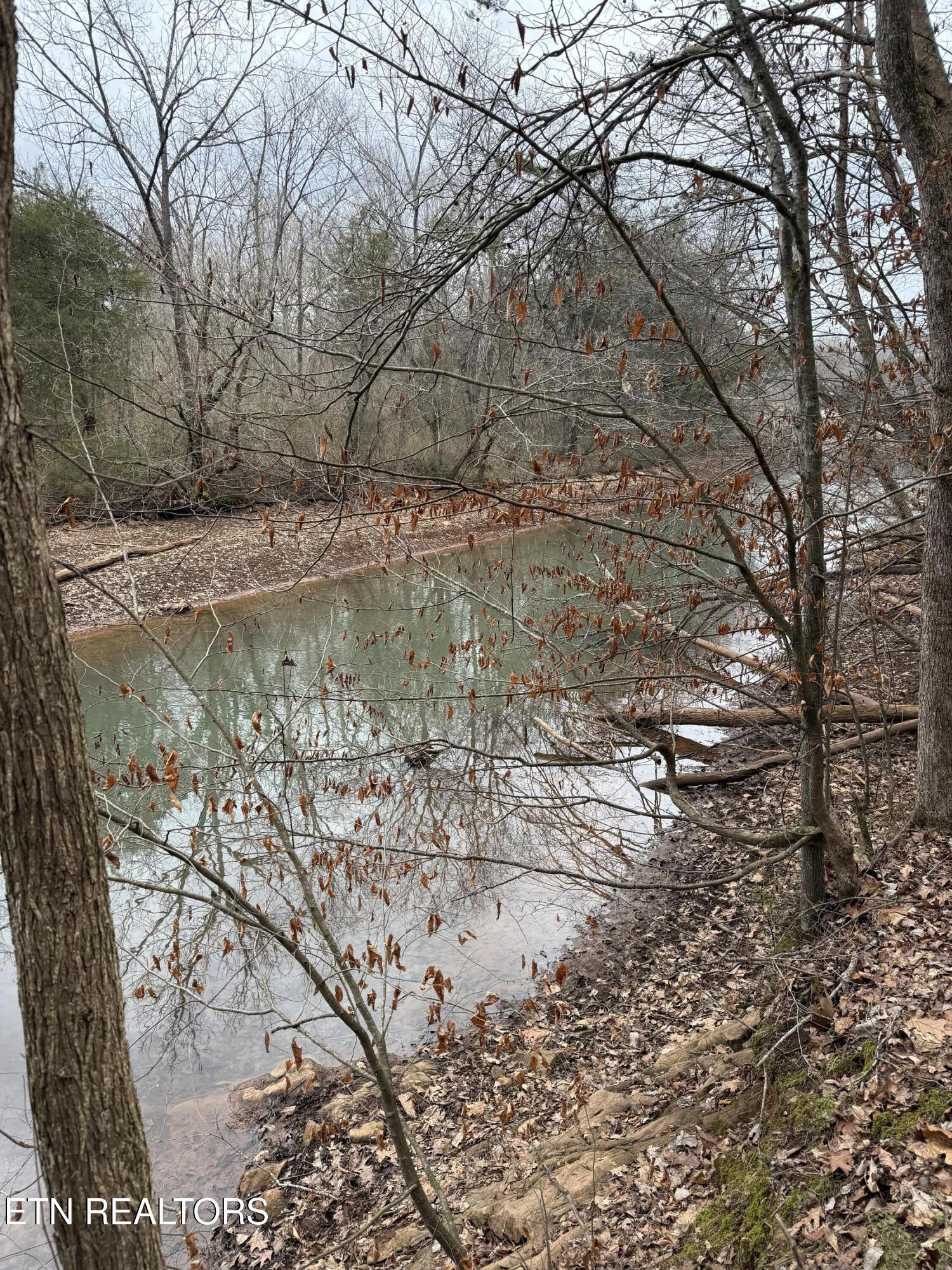 159 Bat Creek Shores Lane, Vonore, TN - Fort Loudoun and Tellico Lake Real Estate - Image# 20