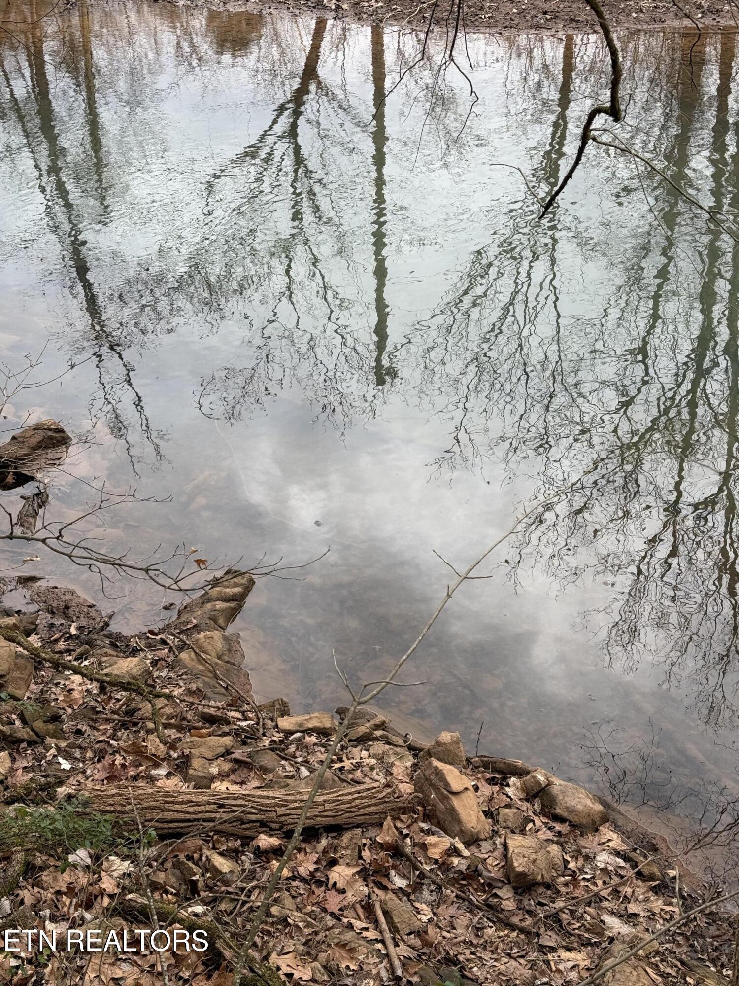 159 Bat Creek Shores Lane, Vonore, TN - Fort Loudoun and Tellico Lake Real Estate - Image# 18